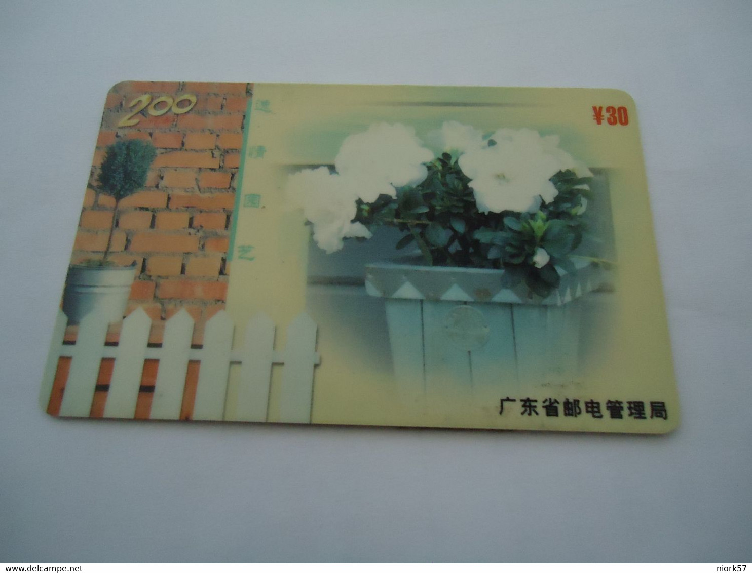 CHINA  USED   PHONECARDS  MAGNETIC MONUMENTS - Painting