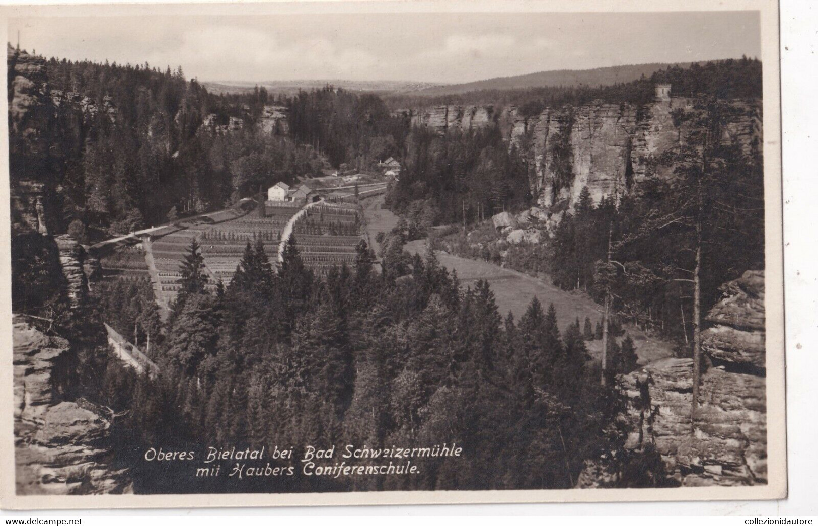 OBERES - BIELATAL BEI BAD SCHWEIZERMÜHLE MIT HAUBERS CONIFERENSCHULE - CARTOLINA FP SPEDITA NEL 1927 - Rosenthal-Bielatal