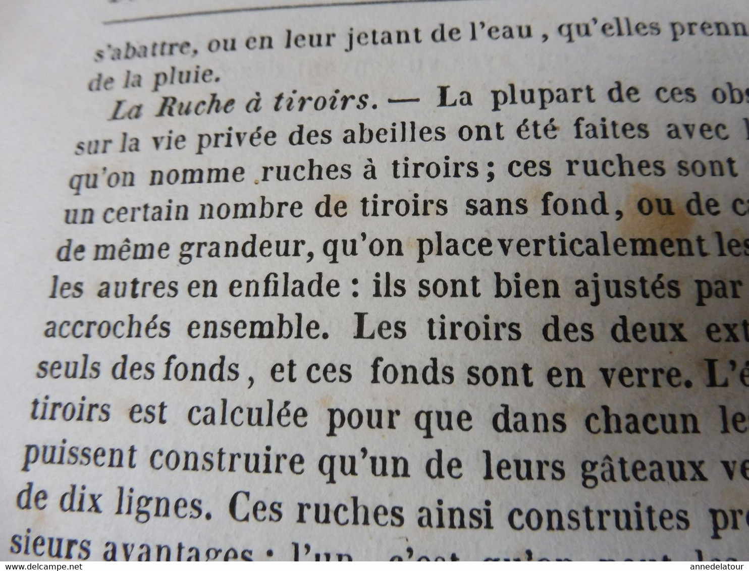 1839  Les Abeilles (Ruche, Reine, Cire Et Miel, Essaim, Ennemis Des Abeilles, Miel Vénéneux, Etc); JAVA Et Théâtres; Etc - 1800 - 1849
