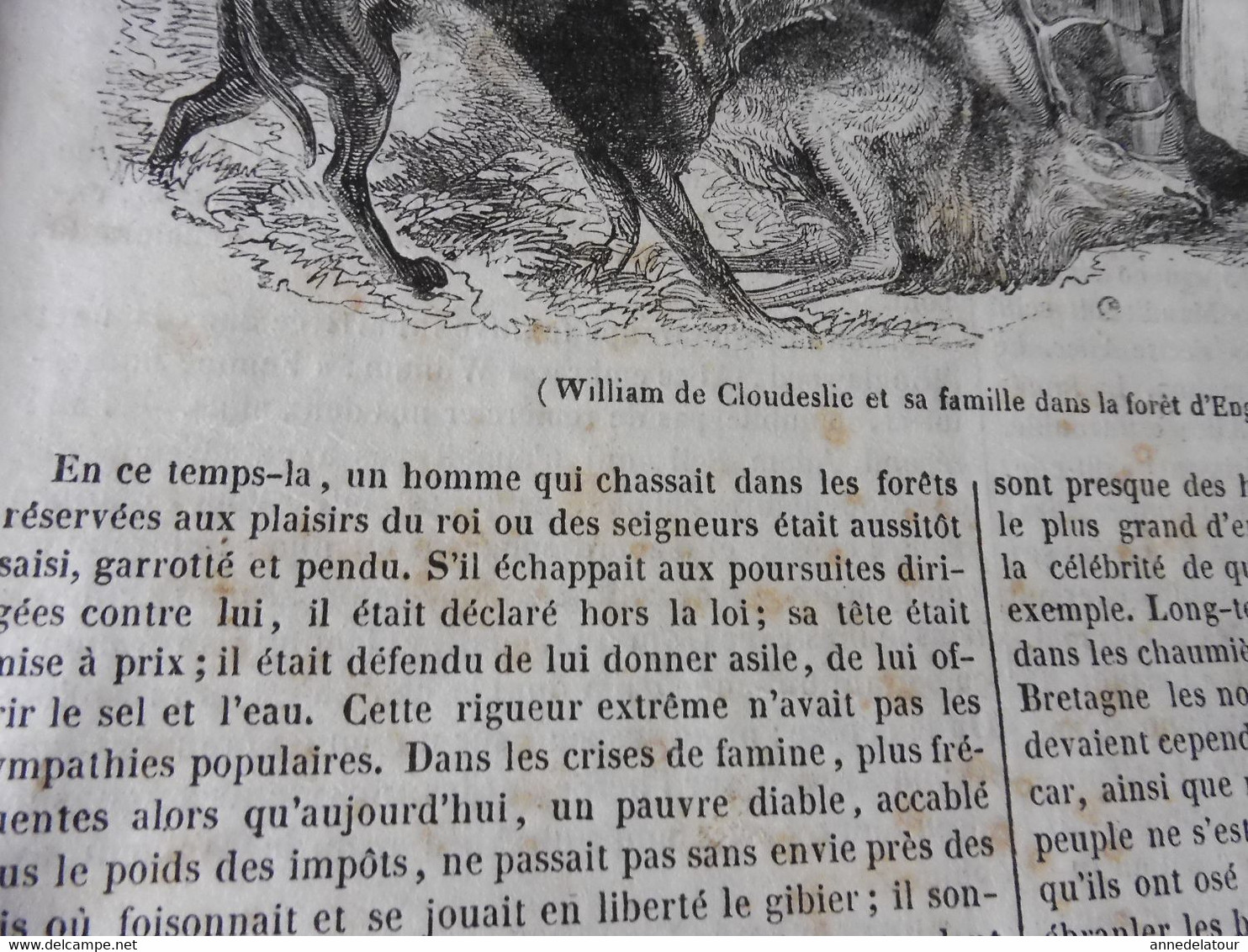 1839  Les abeilles (Ruche, Reine, Cire et Miel, Essaim, Ennemis des abeilles, Miel vénéneux, etc); JAVA et théâtres; etc