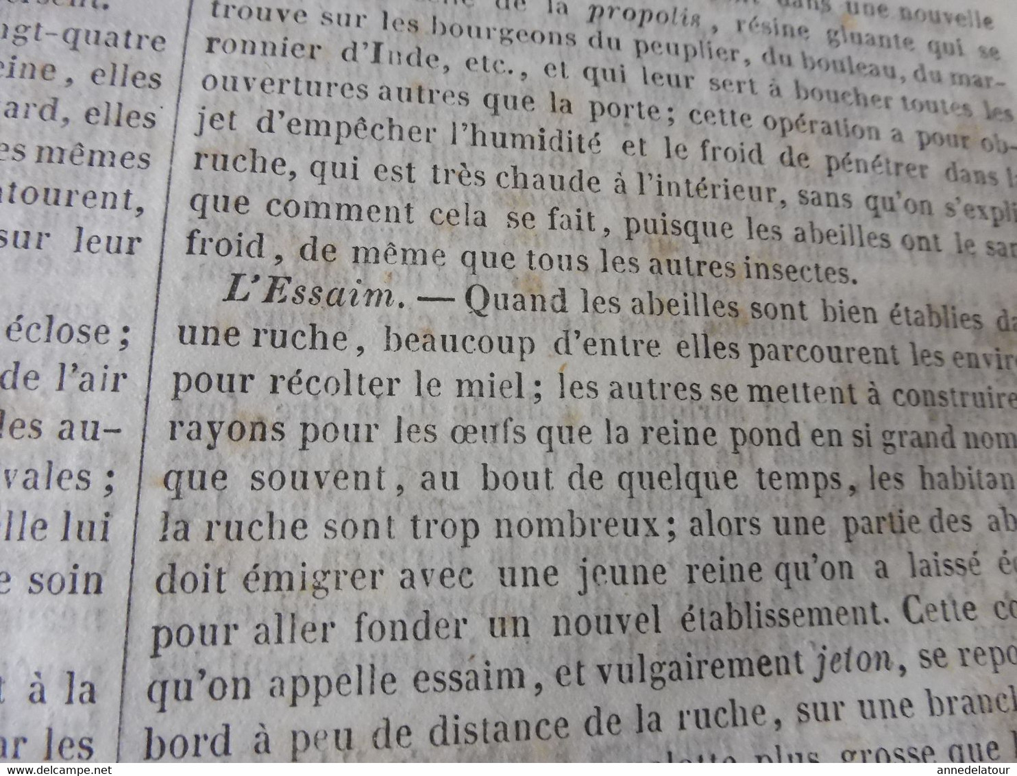 1839  Les abeilles (Ruche, Reine, Cire et Miel, Essaim, Ennemis des abeilles, Miel vénéneux, etc); JAVA et théâtres; etc