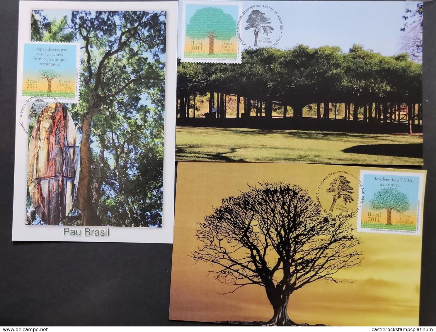 O) 2011 BRAZIL,FORESTATION, TREES,THEY FRUITFUL, GIVE PROTECTION AND SHELTER. OPEN CANOPIES TO THE SUN AND RAIN PROVIDE - Maximum Cards