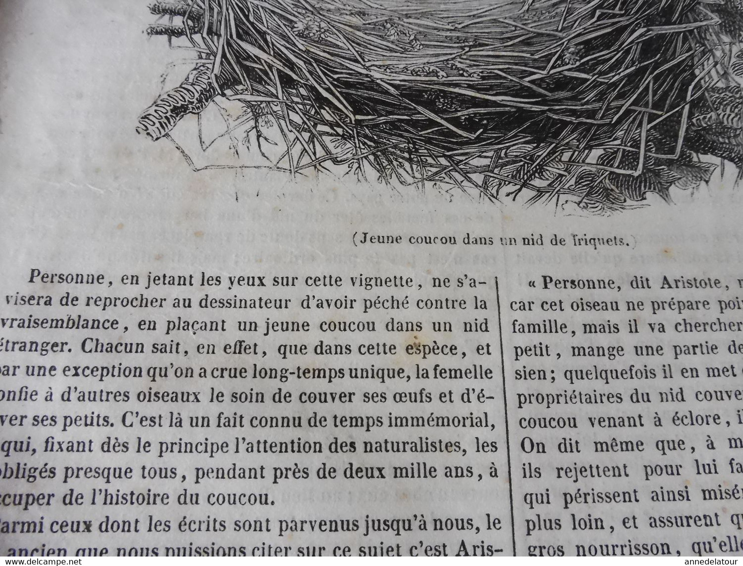 1839 Le Coucou; Joseph Barra; Ecole Chrétienne à Calcutta; Nérigean Et Sa Crois Ou Colonne ;Espagne Au 18e Siècle  ; Etc - 1800 - 1849