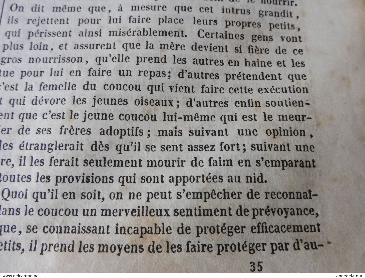 1839 Le Coucou; Joseph Barra; Ecole Chrétienne à Calcutta; Nérigean Et Sa Crois Ou Colonne ;Espagne Au 18e Siècle  ; Etc - 1800 - 1849