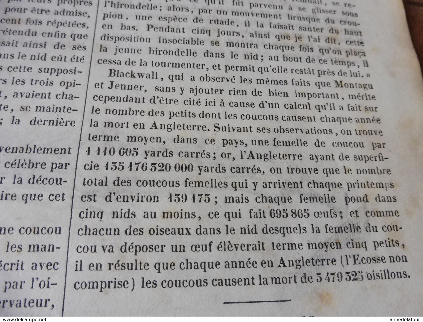 1839 Le Coucou; Joseph Barra; Ecole Chrétienne à Calcutta; Nérigean Et Sa Crois Ou Colonne ;Espagne Au 18e Siècle  ; Etc - 1800 - 1849