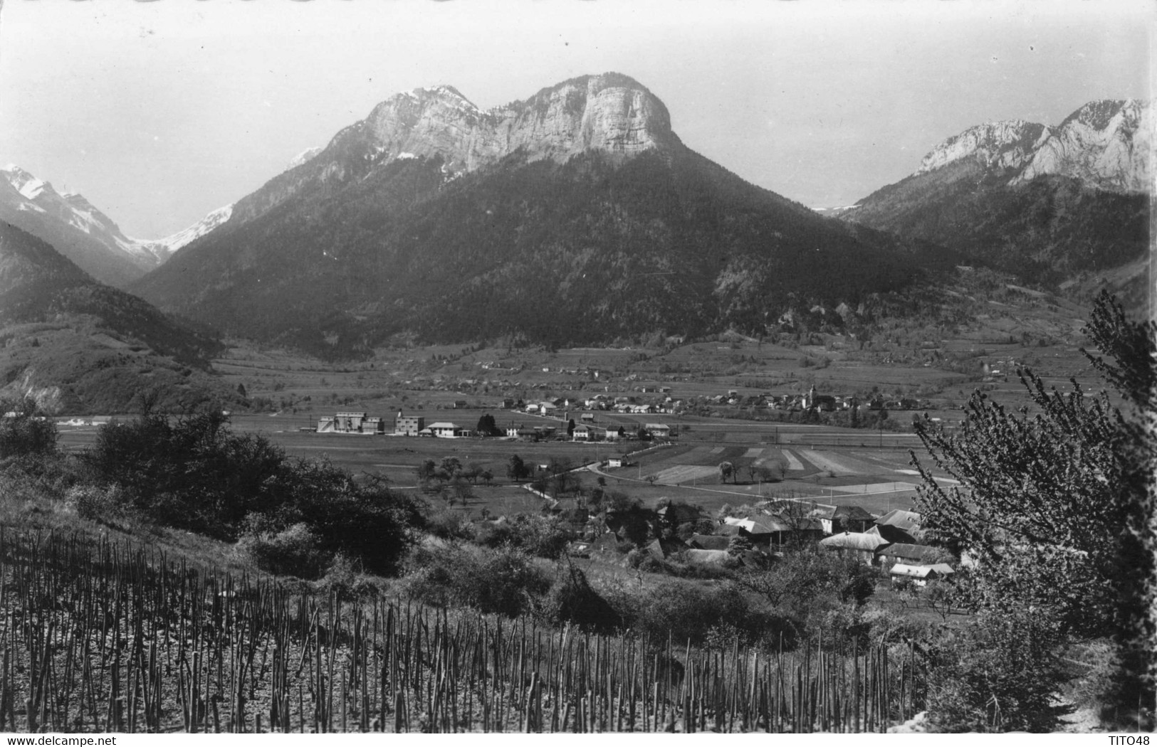 FRANCE - 74 HAUTE-SAVOIE - DOUSSARD - Vue Générale - Le Mont Charbon - Doussard