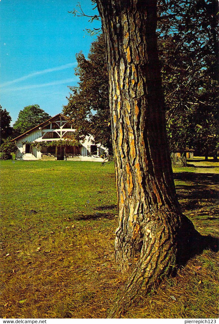 40 - Sabres - Ecomusée De La Grande Lande "Marquèze" - Maison De Maître - Sabres