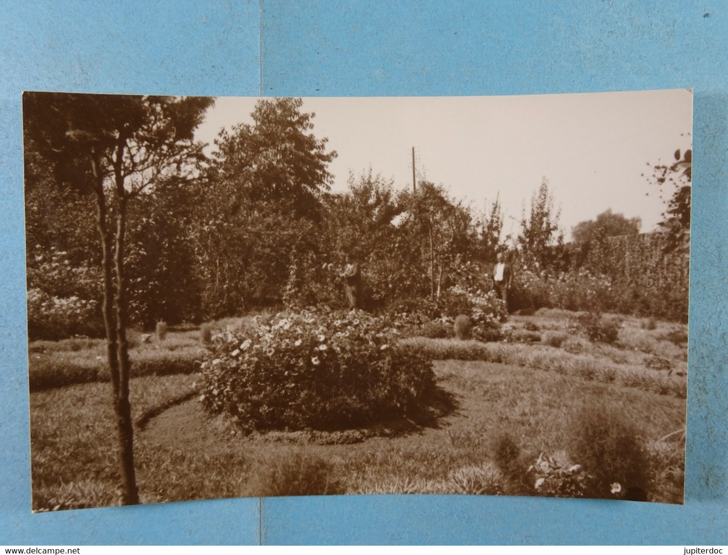 Carte Photo Basse Wavre Stroobants Août 1930 - Waver