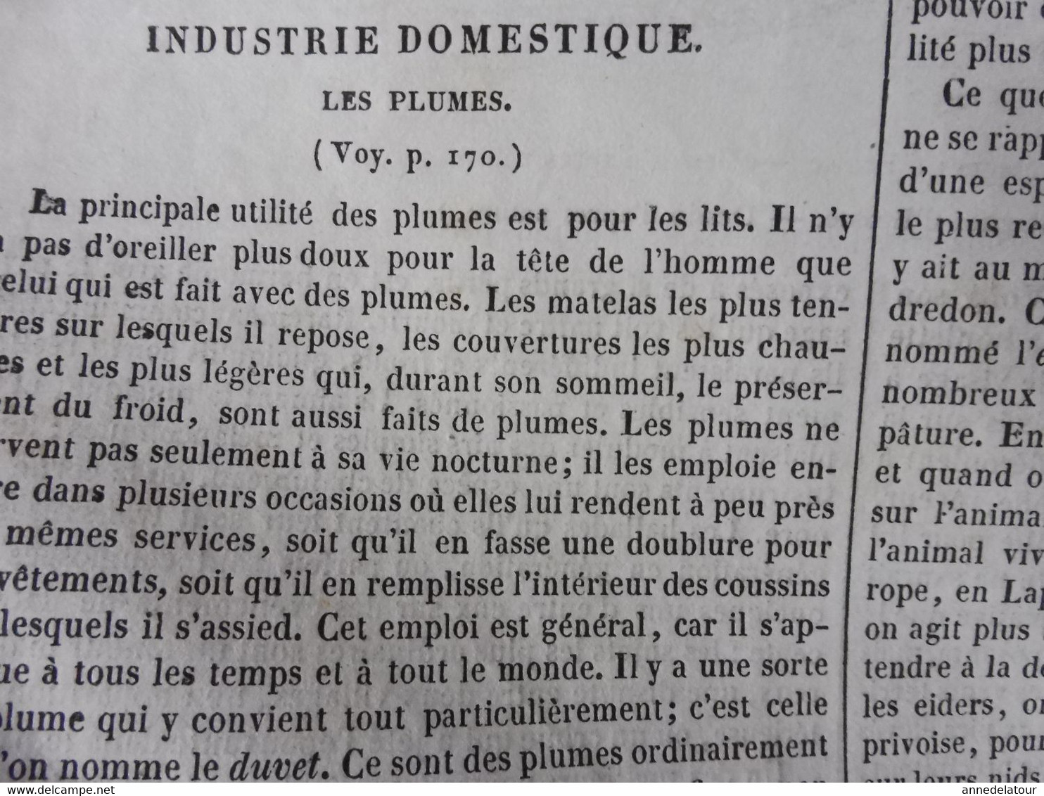 Année 1839:Gravure (scottish Shepherd); Industrie De La Plume ; Fort De Barbaste Près Nérac; Les Punitions En Chine; Etc - 1800 - 1849