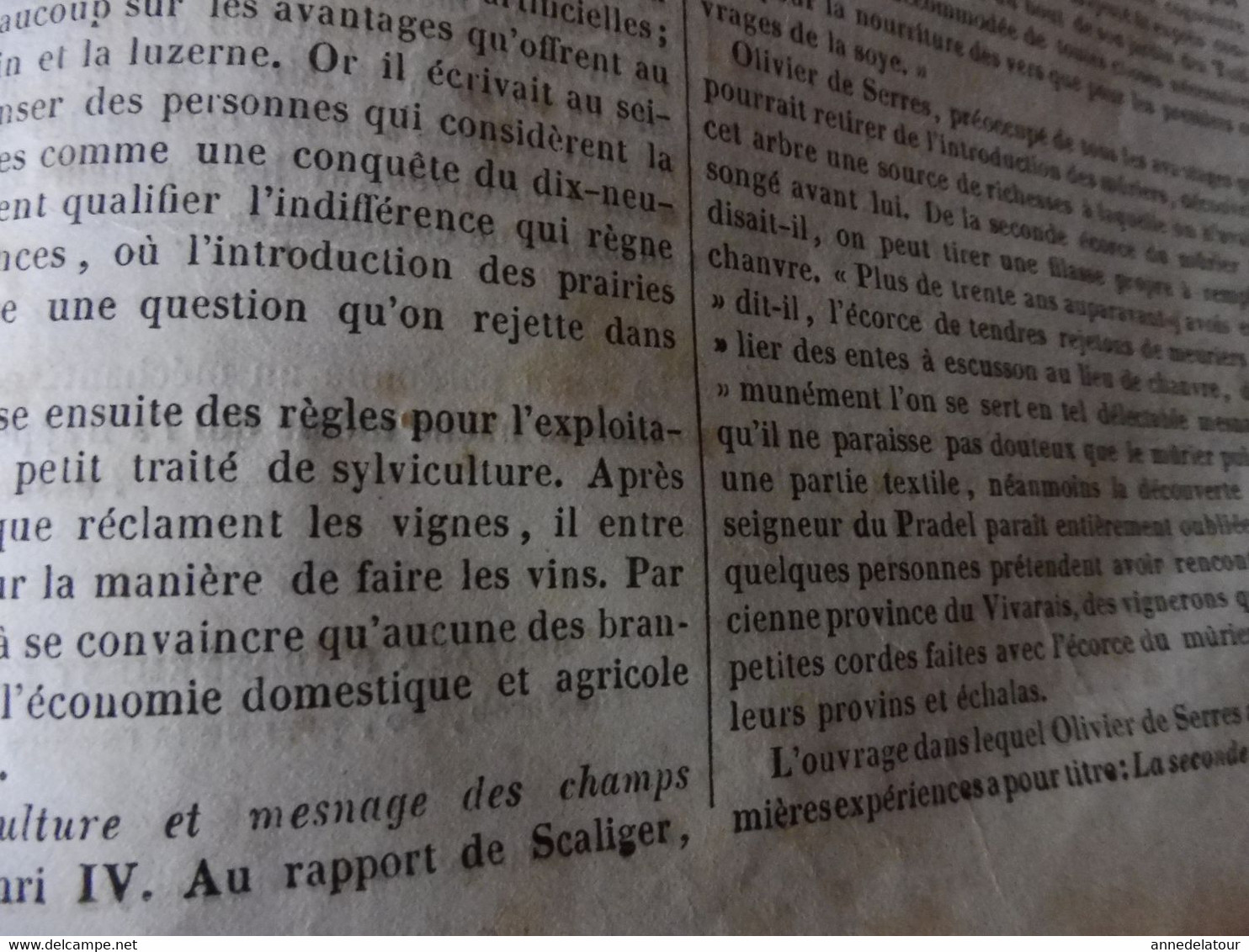 Année 1839: Cordoue ,Espagne; Influence de la Lune sur le temps; Niel Klim et le roi des arbres; Olivier de Serres; etc