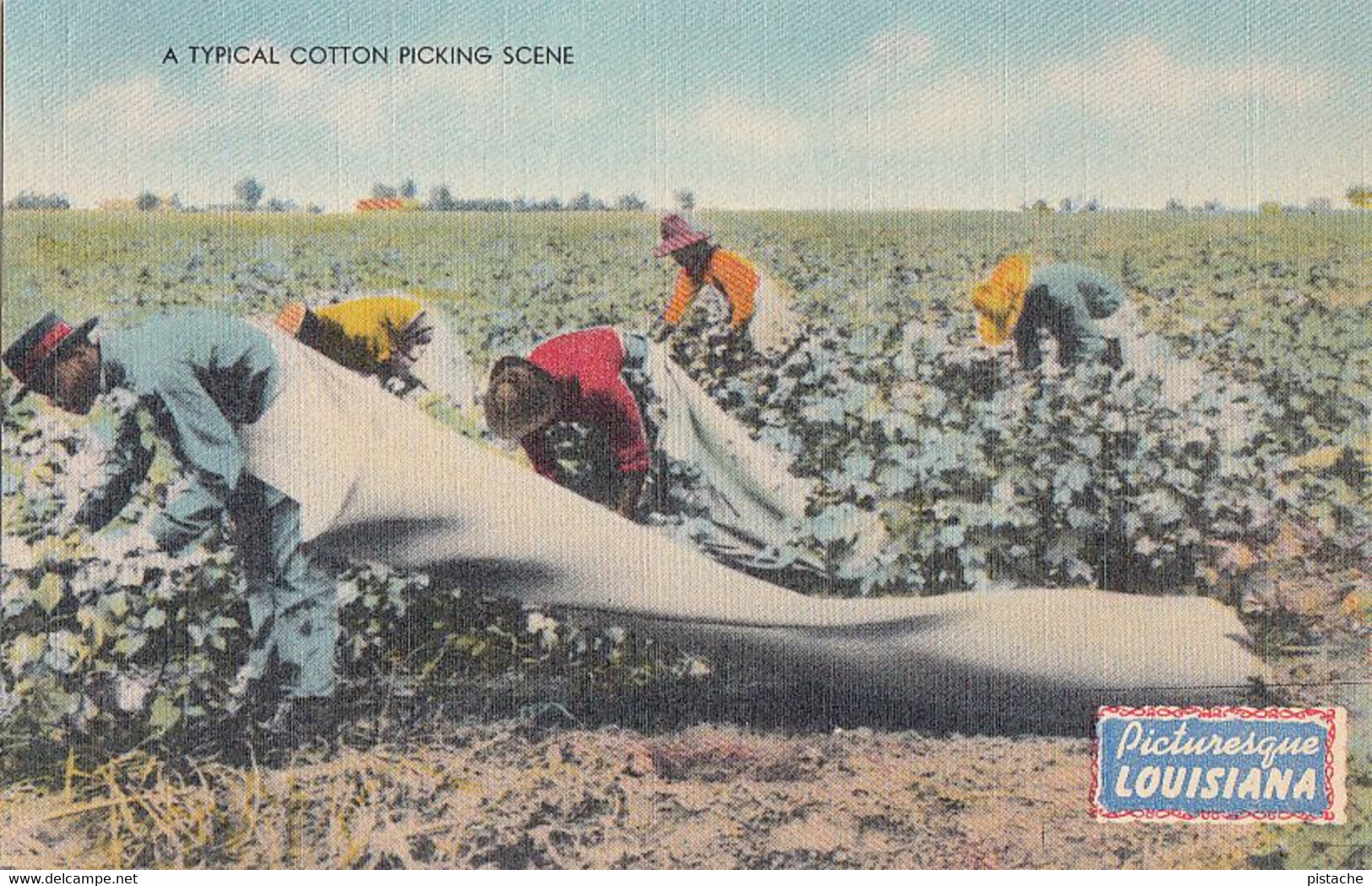 3116 – Cotton Picking Agriculture – Black Americana – Louisiana – Animation - Linen – VG Condition – 2 Scans - Black Americana