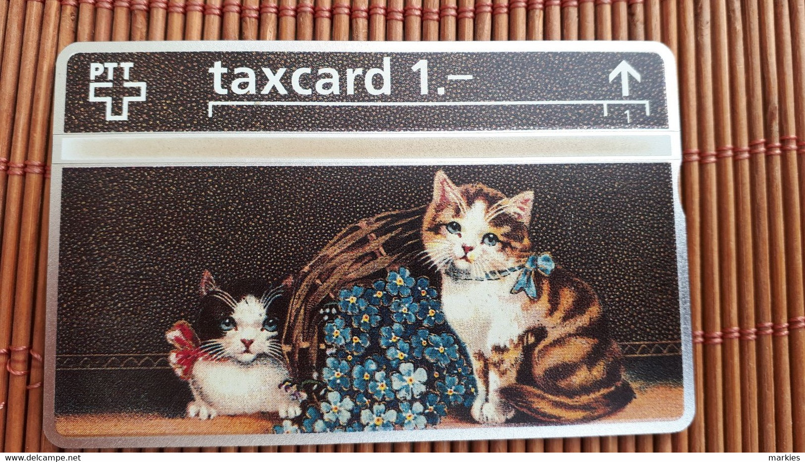 Cats Phonecard (Mint,Neuve) Rare - Gatos