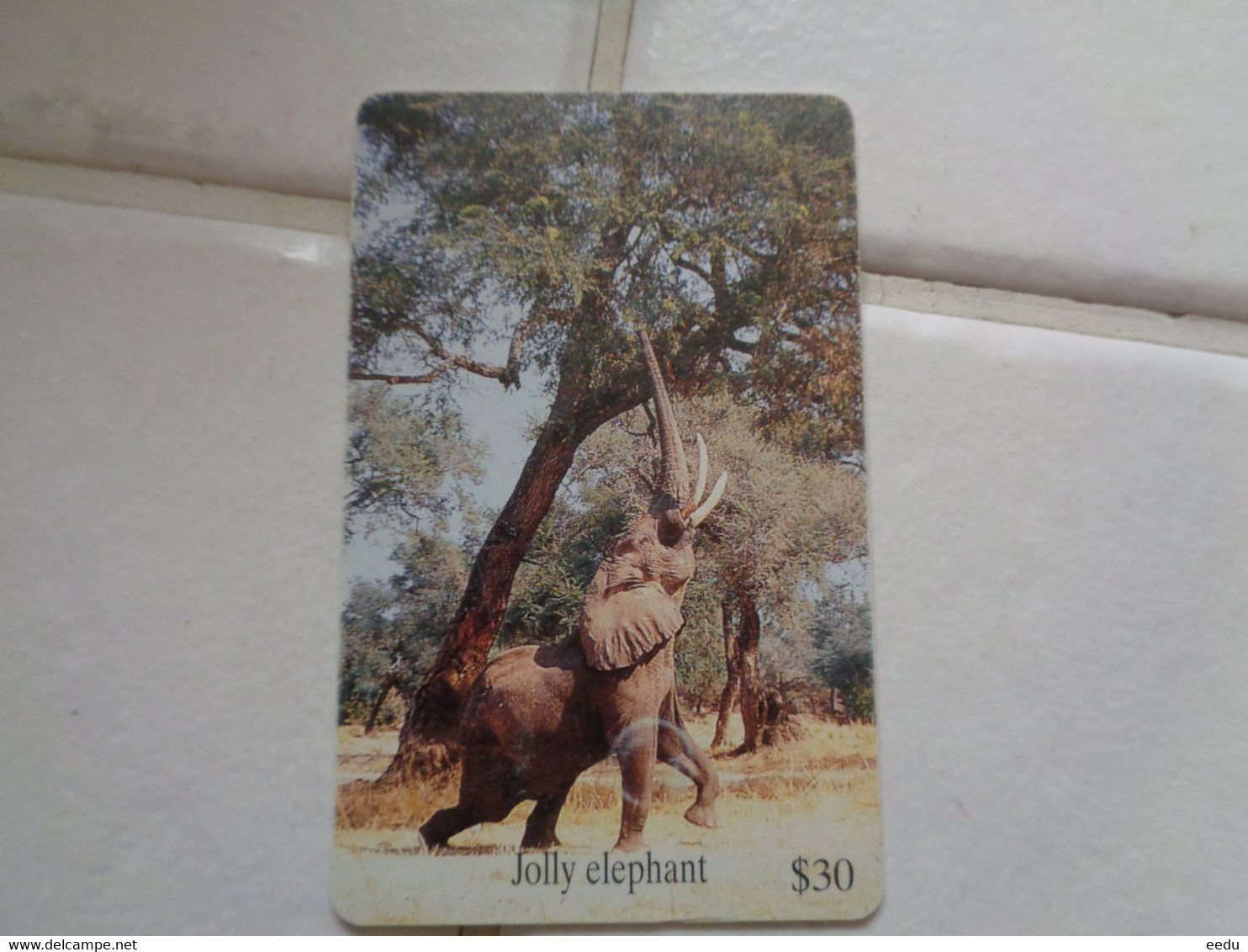 Zimbabwe Phonecard - Zimbabwe