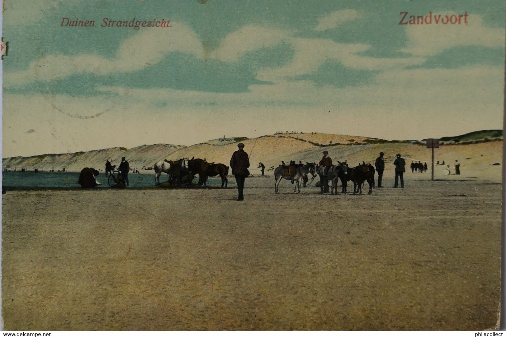Zandvoort // Duinen Strandgezicht Ezel Rijden 1916 - Zandvoort