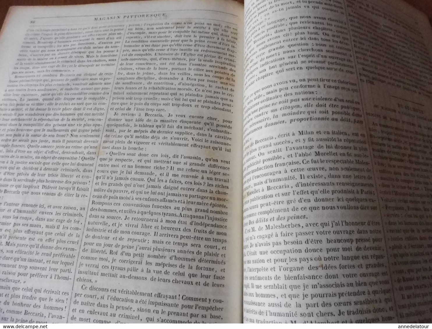 Année 1839: Une place de Vicence en Italie; Tombeau de Sixte IV à St- Pierre de Rome; Intelligence chez les animaux; Etc