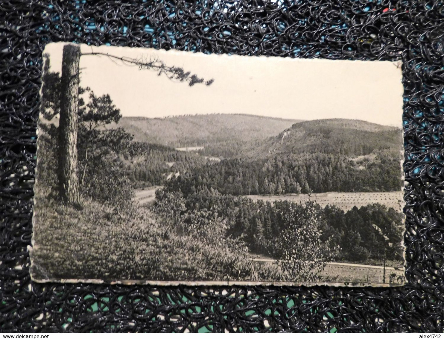 Han-sur-Lesse, Les Rochers De Faule, Panorama Vers Grand-tinemont  (A15) - Rochefort