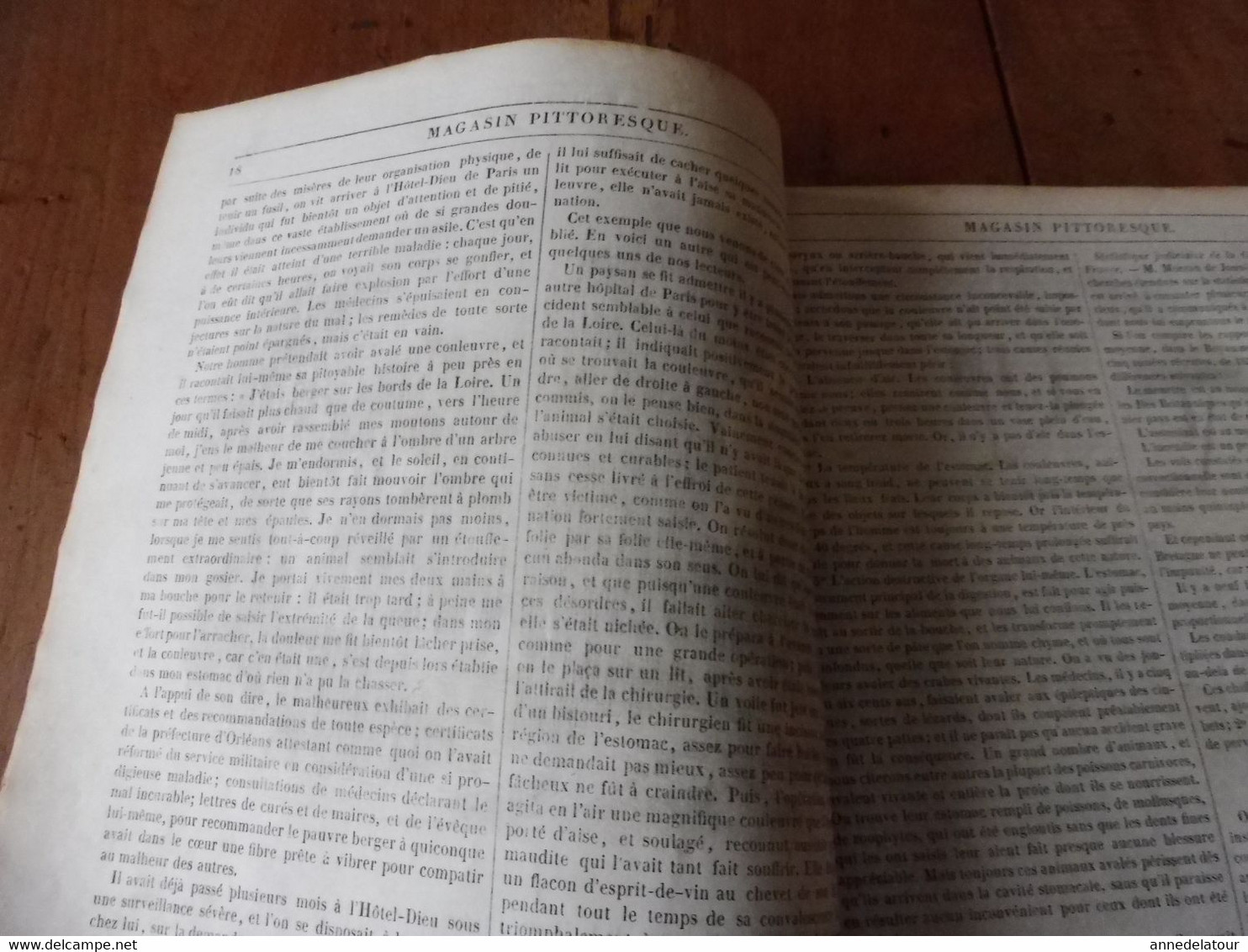 Année 1839: Lac Catherine (Ecosse);Histoire Vraie De Couleuvres Avalées Vivantes Par Un Berger; Le Roi René; Etc - 1800 - 1849