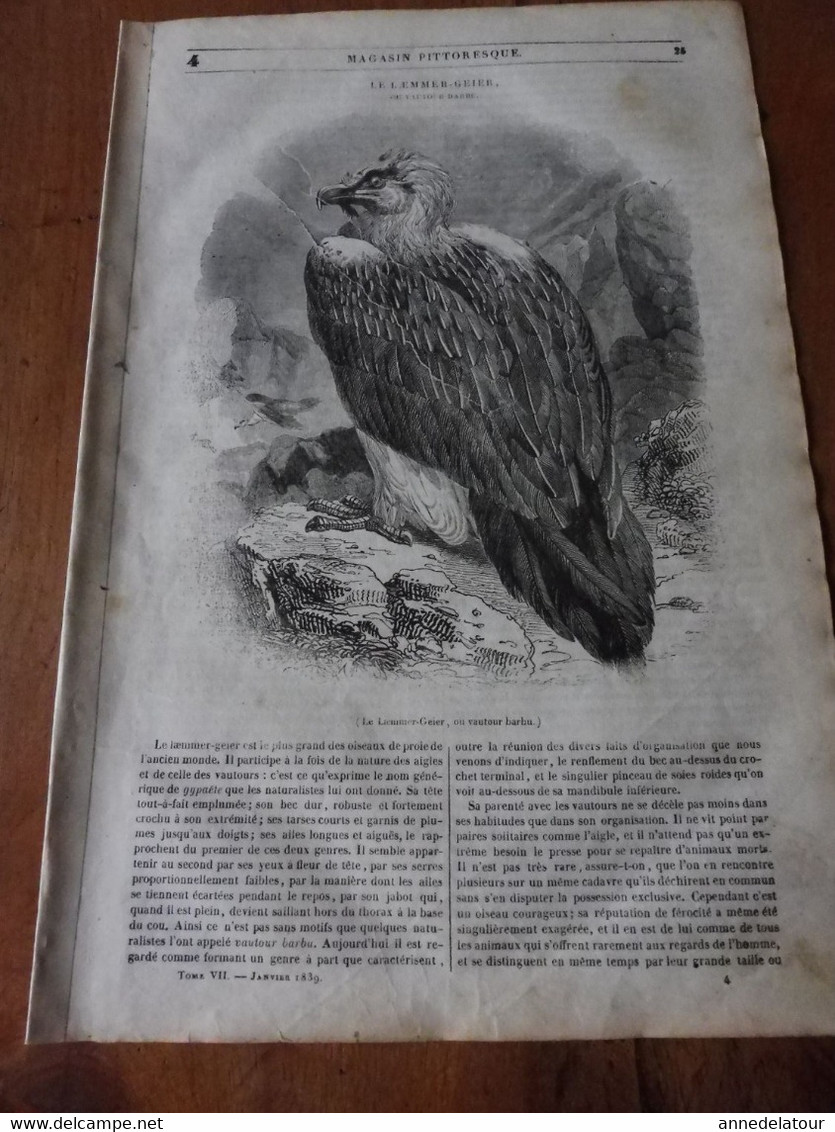 Année 1839: Le Vautour Barbu; SEAMEN'S HOSPITAL à Greewich ; Cologne; La Côte Orientale Du Spitzberg ; Etc - 1800 - 1849