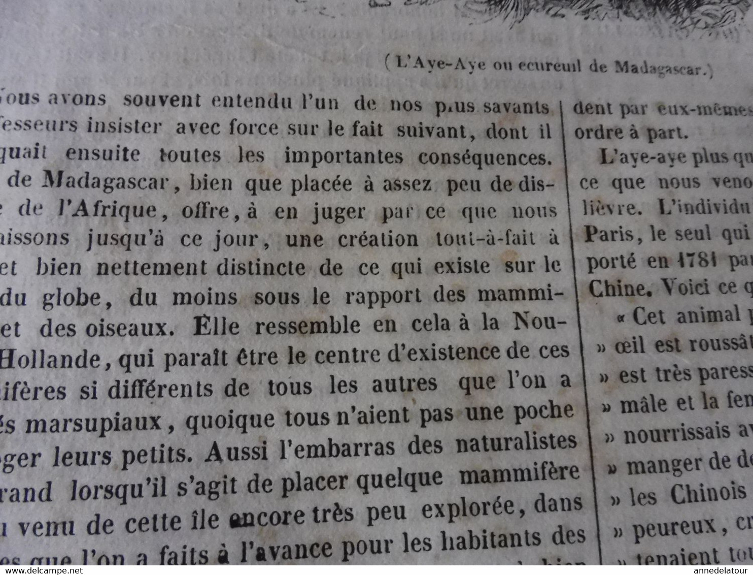 Année 1839: L'Aye - Aye De Madagascar; Kosaks, Les Cosaques Du Don; Javorovo; L'abbé Boizot à Besançon;  Etc - 1800 - 1849