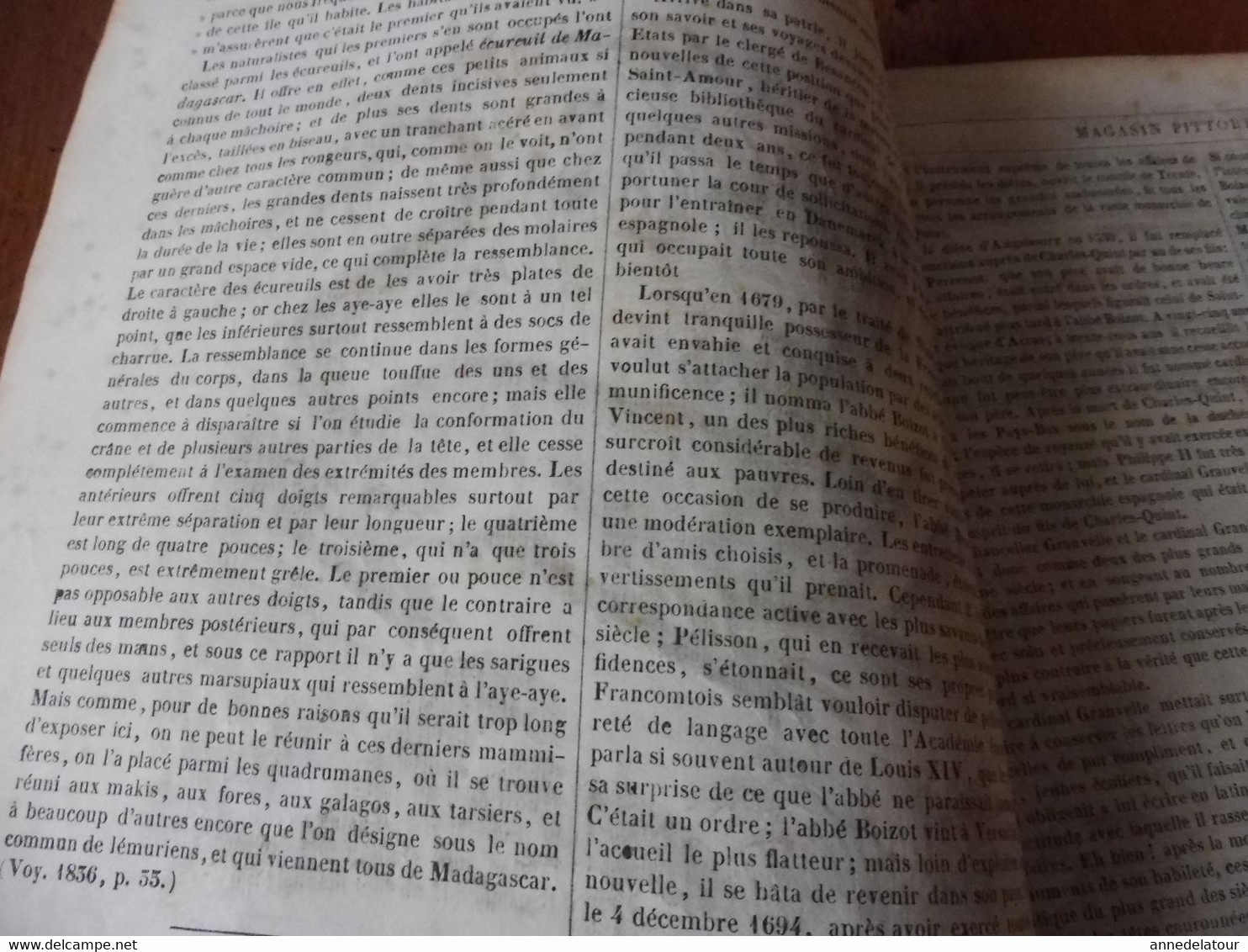 Année 1839: L'Aye - Aye De Madagascar; Kosaks, Les Cosaques Du Don; Javorovo; L'abbé Boizot à Besançon;  Etc - 1800 - 1849