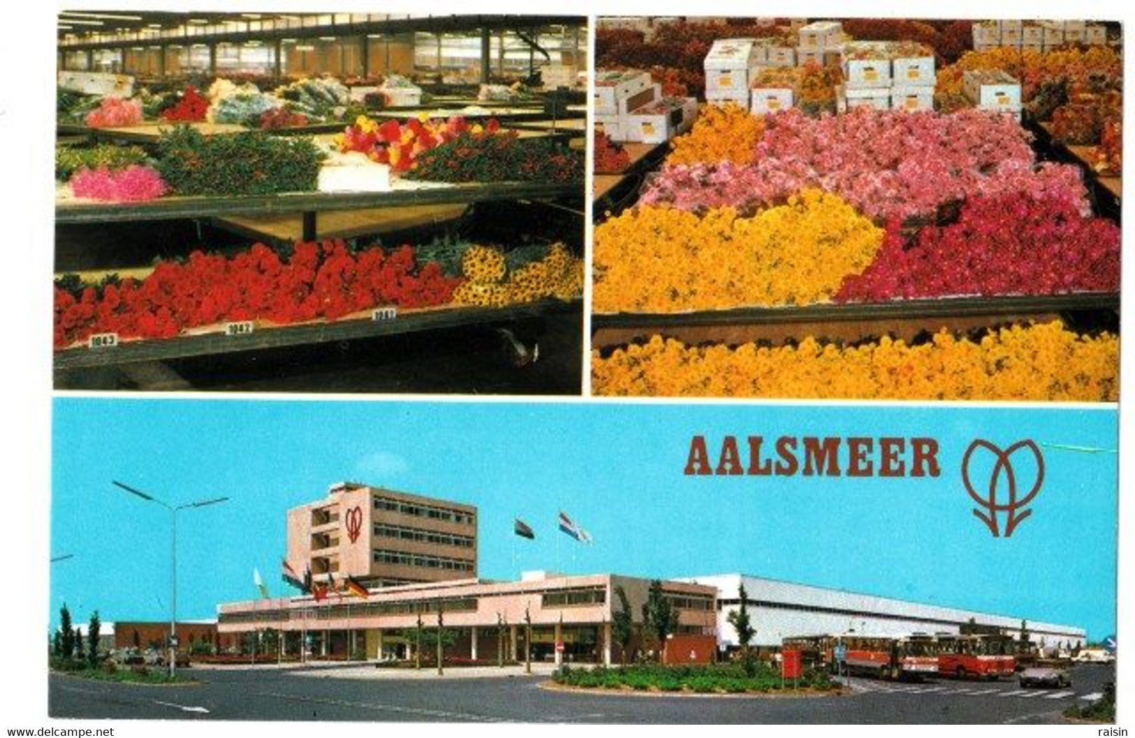 Pays -Bas Aalsmeer  Multi Vues  Du"Flower Markets" Marché Aux Fleurs  TBE - Aalsmeer