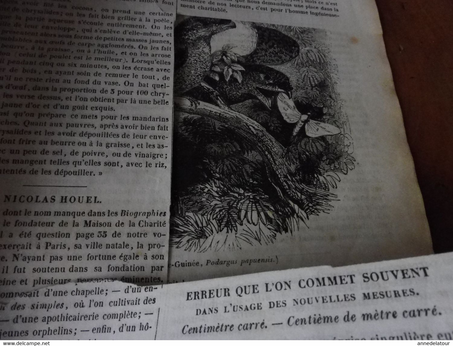 Année 1839: Berlin; Cuisine chinoise; Le Podargus de la Nlle-Guinée (Engoulevent); Les kosaks (cosaques) du Don; etc