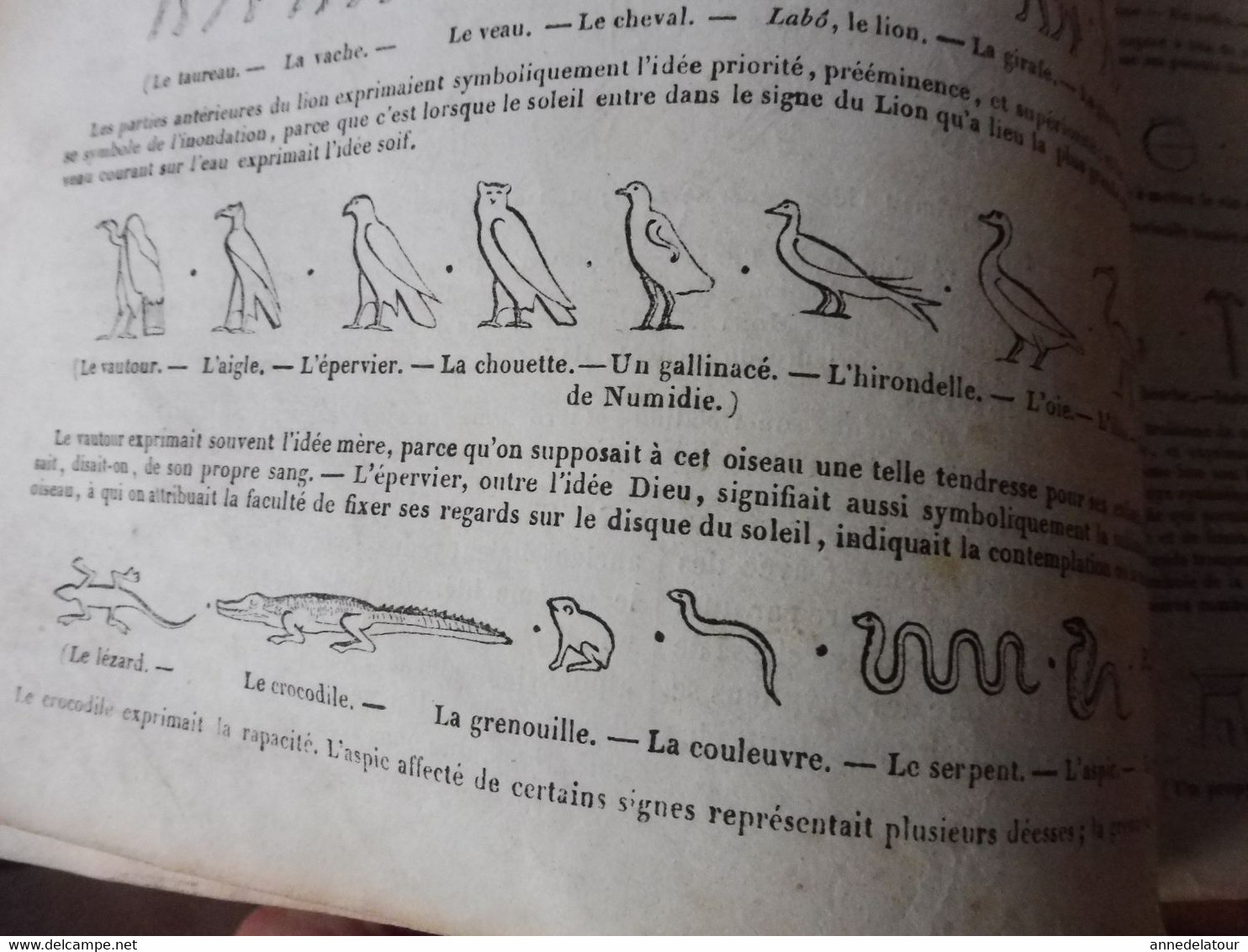 Année 1839: Le miroir de la vanité; Hiéroglyphes (important documentaire); Le phare de Pondichéry en Inde; Etc