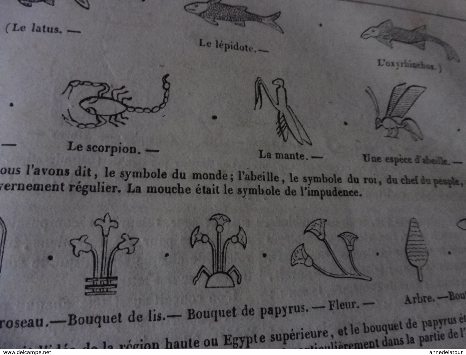 Année 1839: Le miroir de la vanité; Hiéroglyphes (important documentaire); Le phare de Pondichéry en Inde; Etc