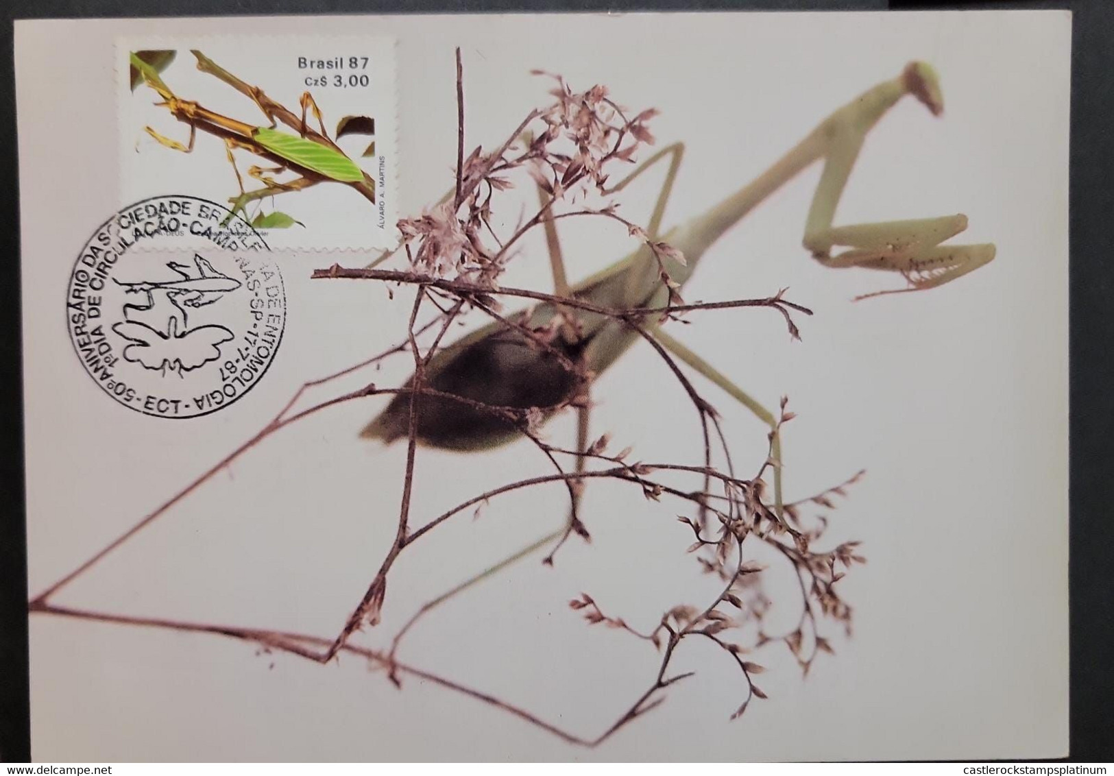 O) 1987 BRAZIL, ENTOMOLOGY, INSECT, CONEHEAD MANTIS, EMPUSA PENNATA, MAXIMUM CARD - Maximum Cards