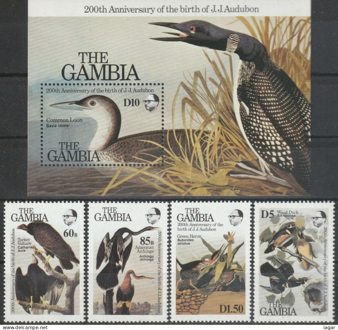 THEMATIC FAUNA:  BIRDS.  TURKEY VULTURE, AMERICAN DARTER, GREEN HERON, WOOD DUCK,  GREAT NORTHERN DIVER  - GAMBIA - Flamingo