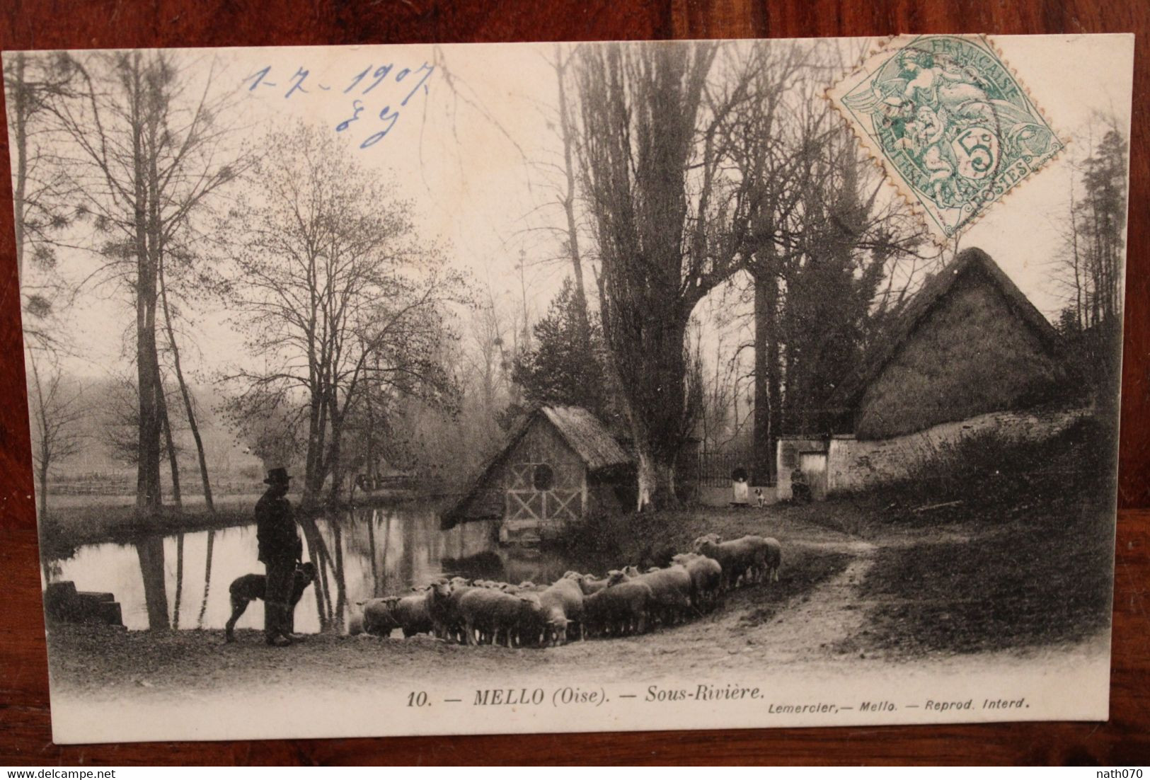 1907 Mello (oise) Sous Rivière Voyagée Troupeau Agneaux Berger - Other & Unclassified