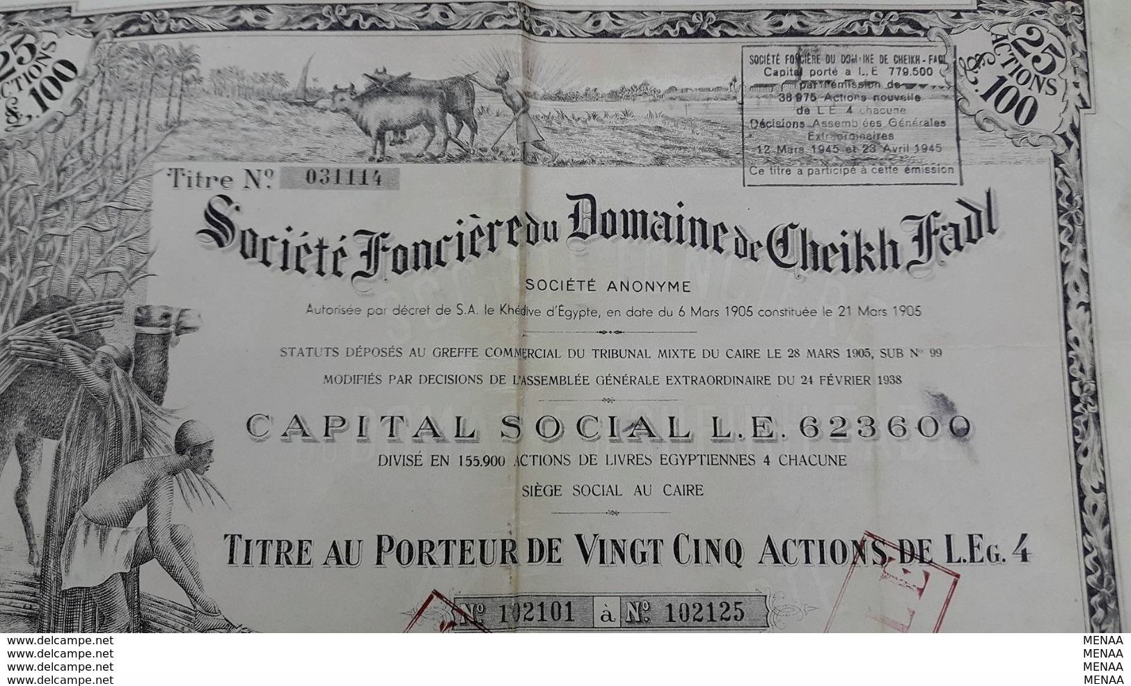 EGYPT - Societe Fonciere Du Domaine De Cheikh Fadl Action- 25 Shares - 1905 - Afrique