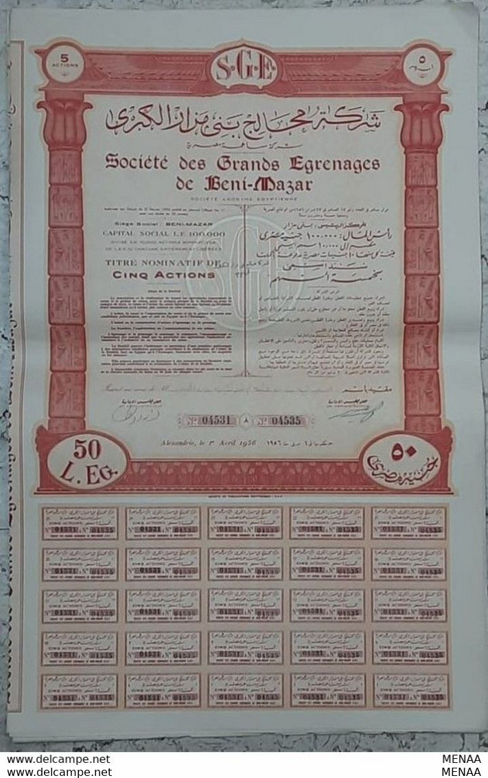 EGYPT- 5 Actions Societe Des Grands Egrenages De Beni- Mazar(Egypte) (Egitto) (Ägypten) (Egipto) (Egypten) Africa - Afrique