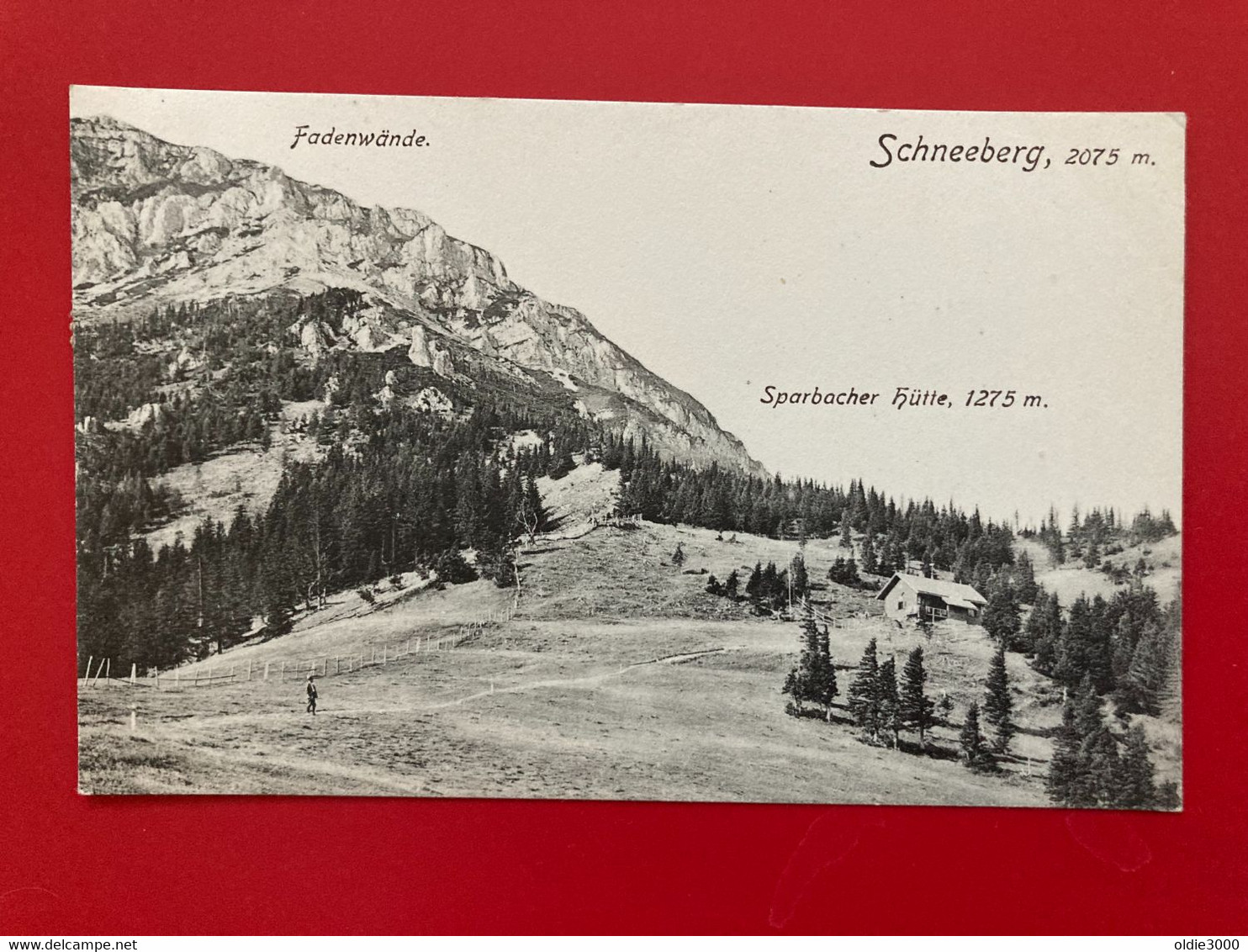 Sparbacher Hütte Schneeberg 4867 - Schneeberggebiet