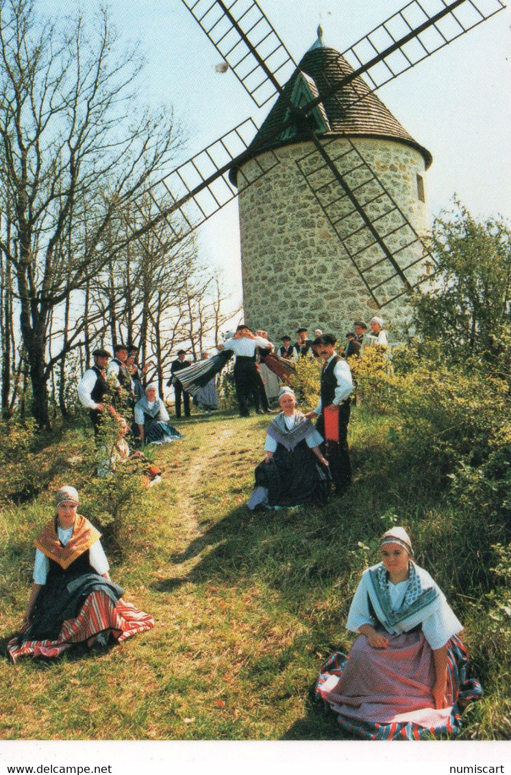 Lectoure Animée Les Troubadours De Lomagne Groupe Folklorique Gascon Coiffe Folklore Moulin Moulin à Vent - Lectoure