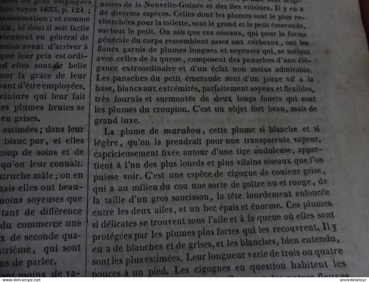 Année 1839: Arc de Triomphe de l'ETOILE;  Les plumes dans l'industrie; HANS SACHS cordonnier -poète allemand ; Etc