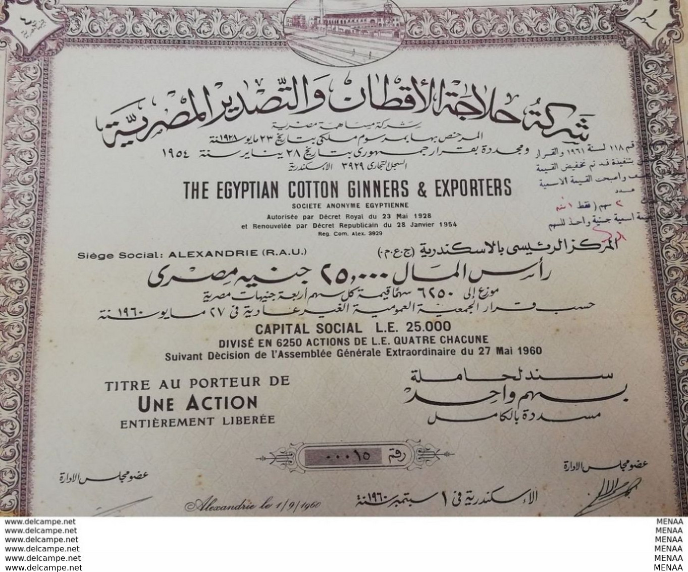 EGYPT - The Egyptian Cotton Ginners & Exporters 1960 1 Action - Afrique