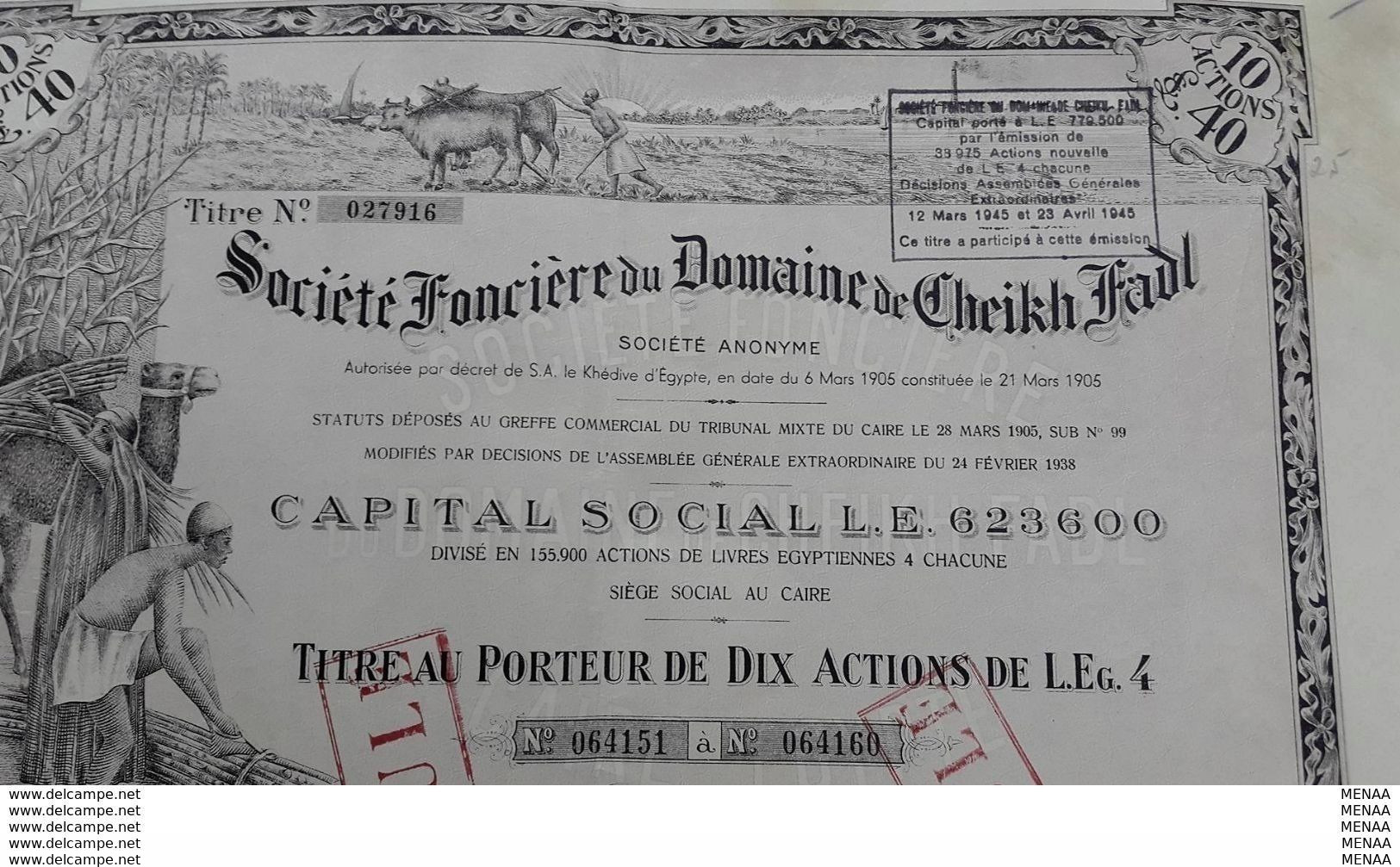 EGYPT - Societe Fonciere Du Domaine De Cheikh Fadl Action- 10 Shares - 1905 - Afrique