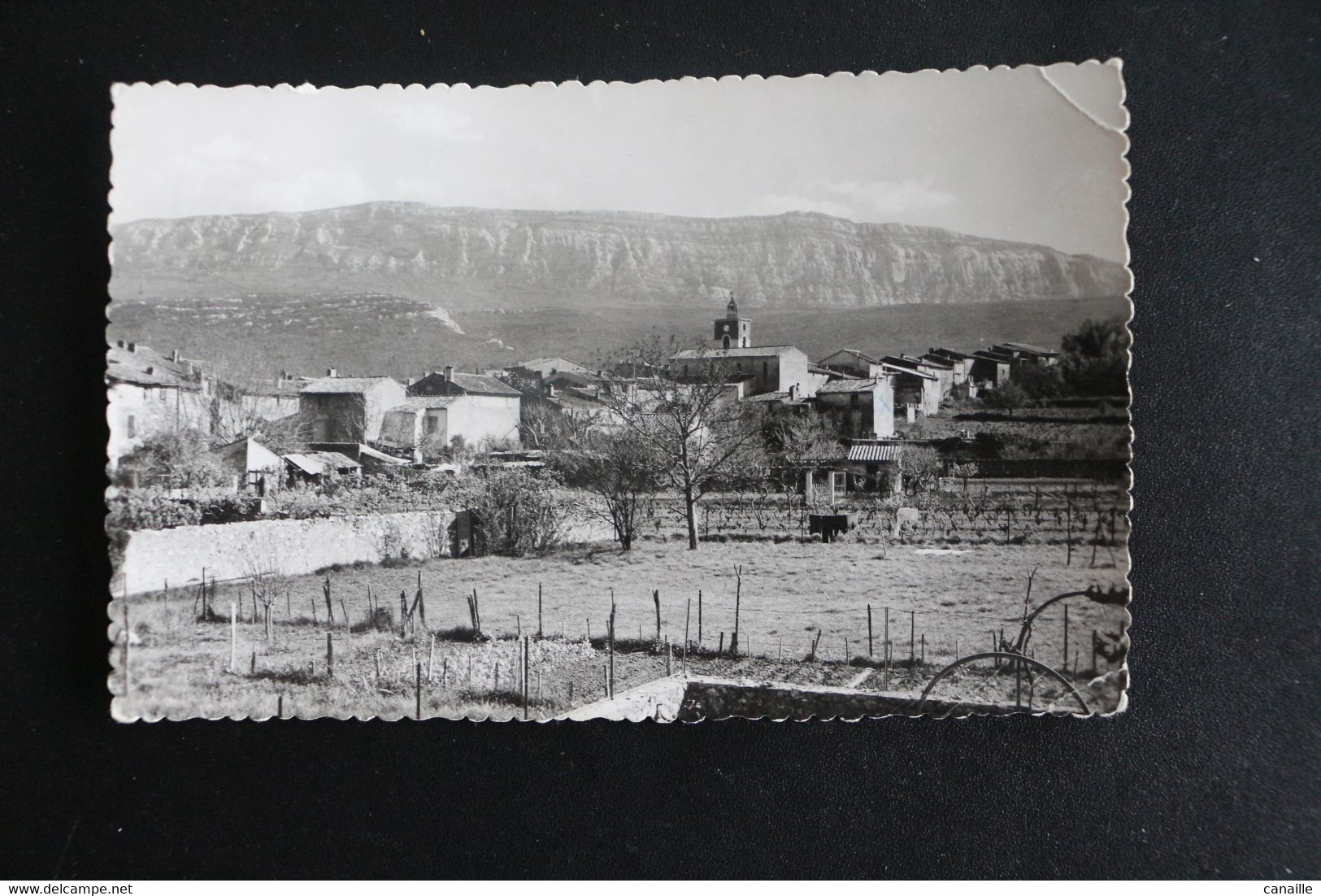 P-B 174 /  [83] Var  Nans-les-Pins - Vue Générale /  1957 - Nans-les-Pins