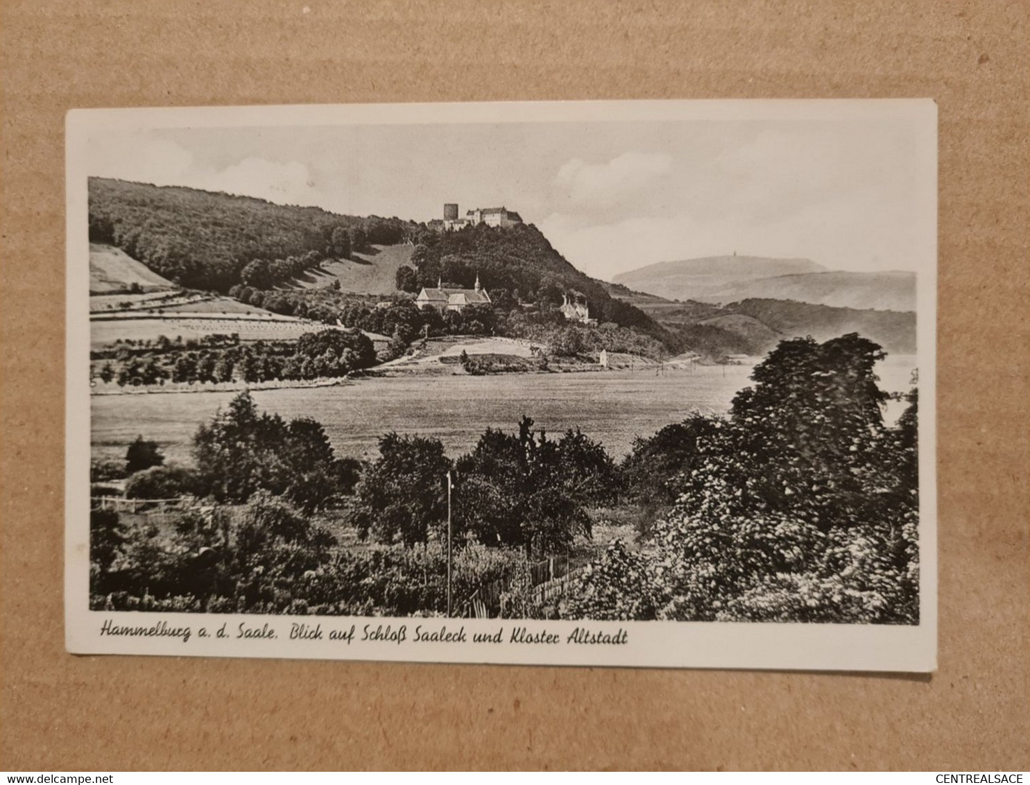 Carte HAMMELBURG AD. SAALE BLICK AUF SCHLOSS - Hammelburg