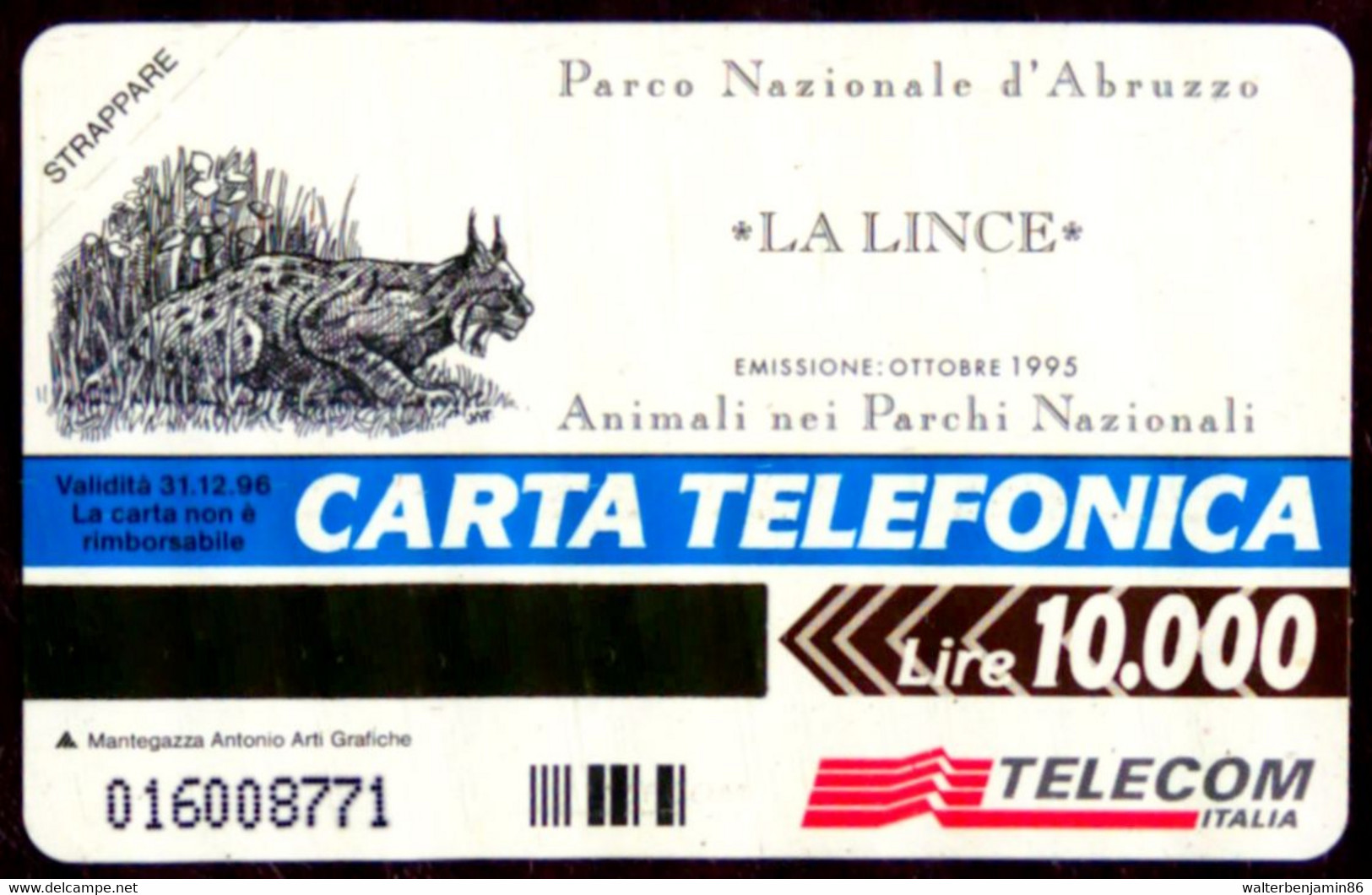 G 444 C&C 2495 SCHEDA TELEFONICA NUOVA MAGNETIZZATA ANIMALI NEI PARCHI LINCE - Erreurs & Variétés