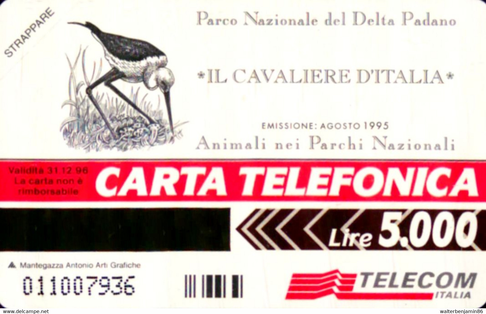 G 439 C&C 2490 SCHEDA TELEFONICA NUOVA MAGNETIZZATA ANIMALI CAVALIERE D' ITALIA - [3] Erreurs & Variétées