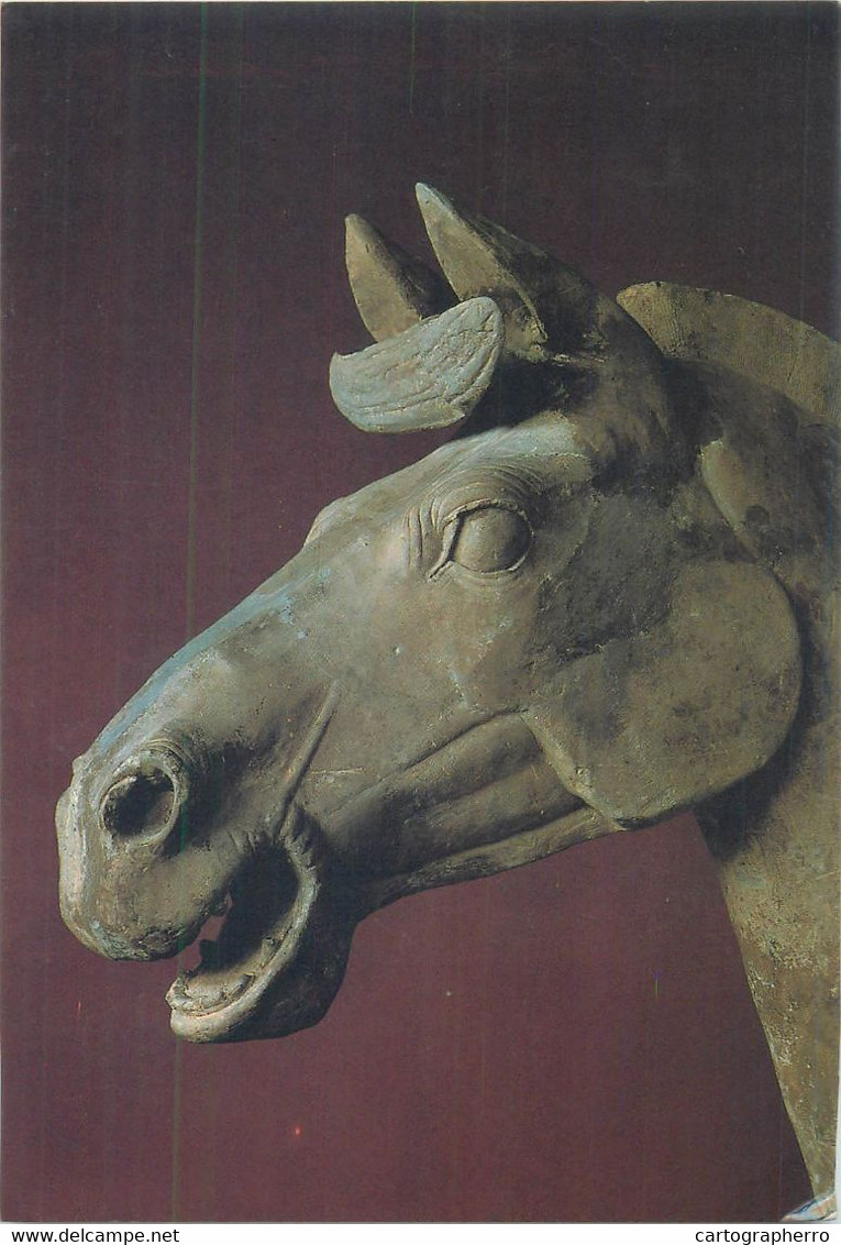 Fine Arts Postcard East Asian Museum Detail Of Horse Head Qin Shihuangs Shaanxi Provinsmuseum Xian - Sculptures