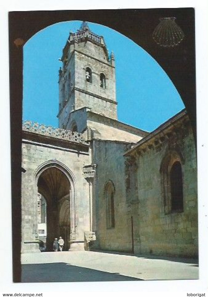 CATEDRAL, DETALLE / CATHÉDRALE, DETAIL / CATHEDRAL, A CORNER.-  LUGO.- ( ESPAÑA). - Lugo