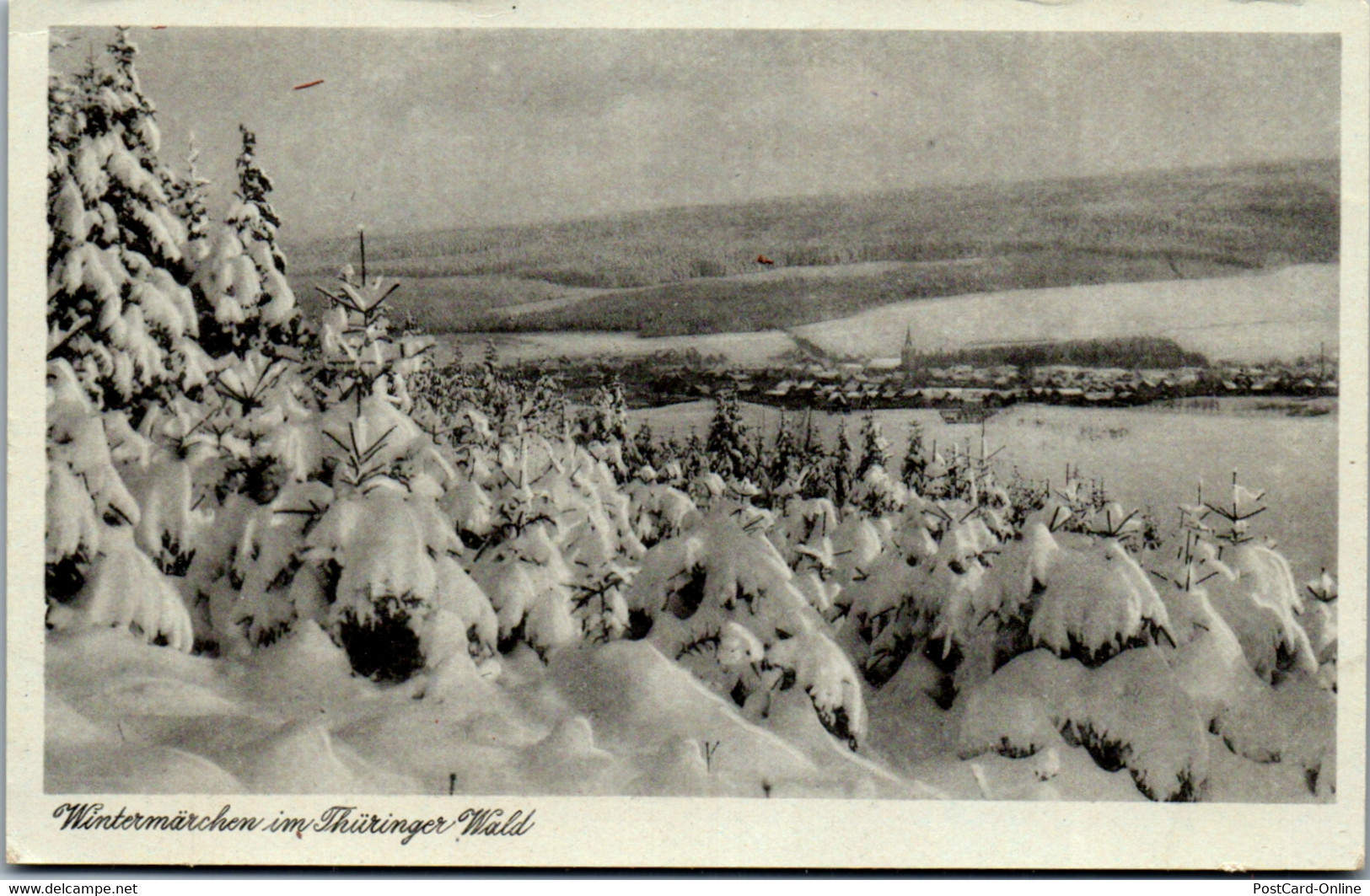 40878 - Deutschland - Gehren , Blick V. Tragberg Zum Langen Berg , Wintermärchen Im Thüringer Wald - Nicht Gelaufen - Gehren