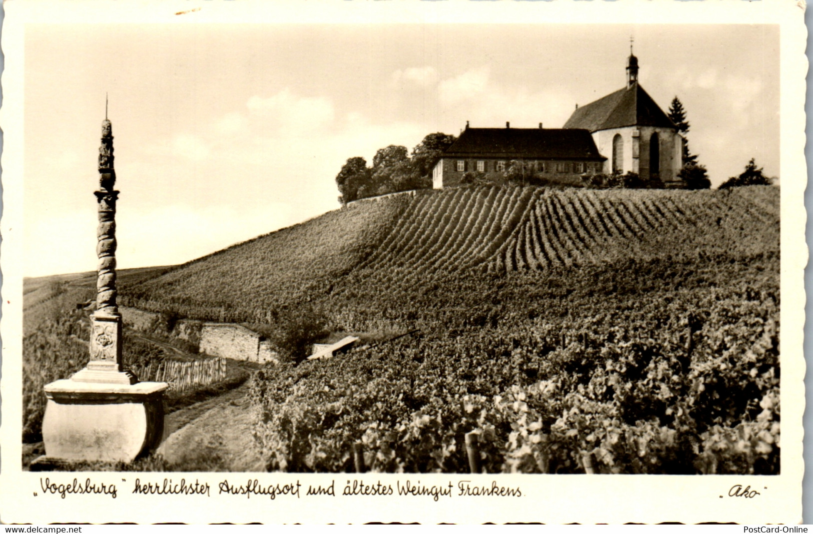 40983 - Deutschland - Vogelsburg An Der Mainschleife Bei Volkach , Weingut Frankens - Nicht Gelaufen - Kitzingen