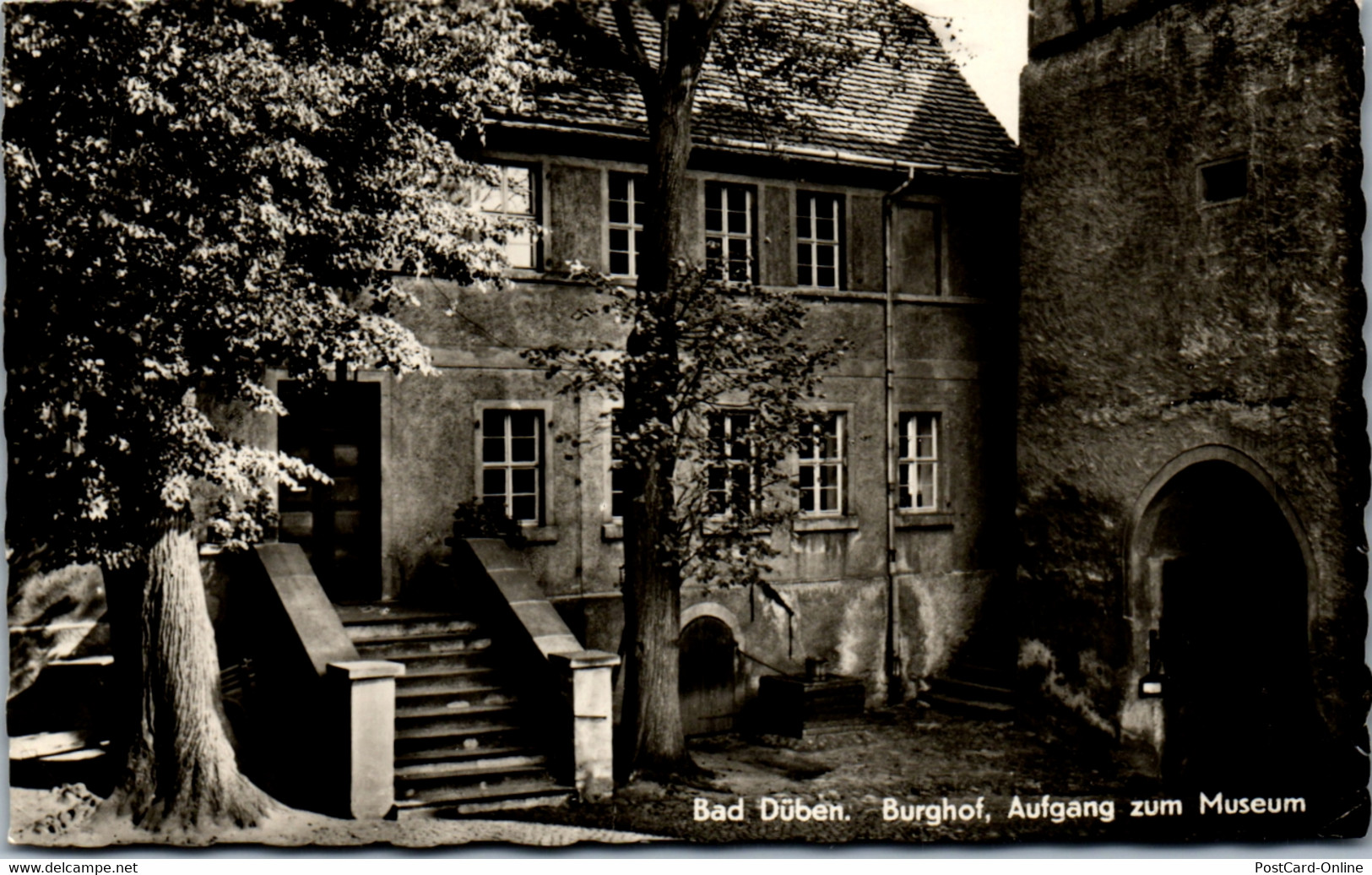 41025 - Deutschland - Bad Düben , Burghof , Aufgang Zum Museum - Gelaufen - Bad Dueben