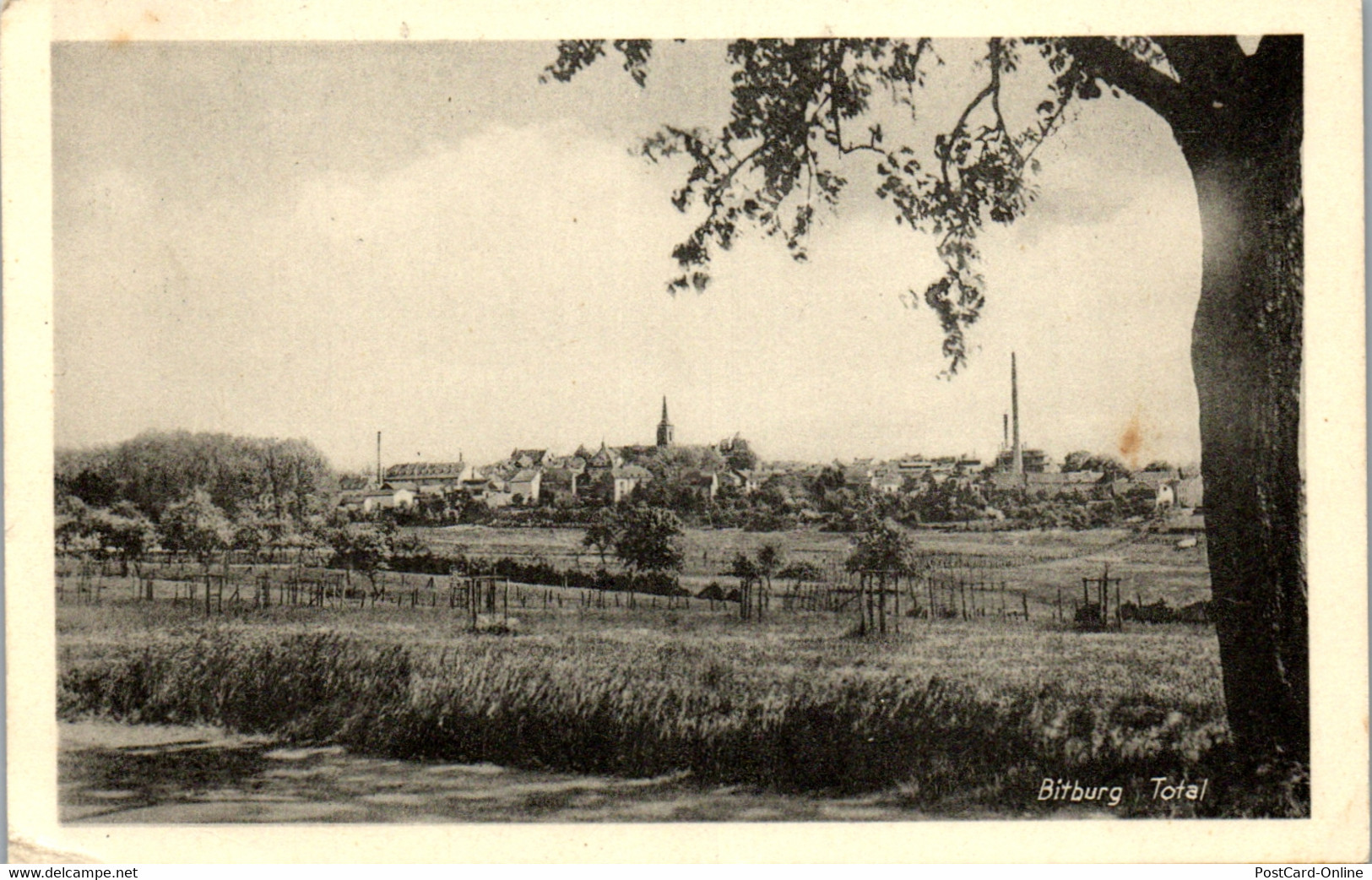 41215 - Deutschland - Bitburg , Total , Panorama - Gelaufen - Bitburg