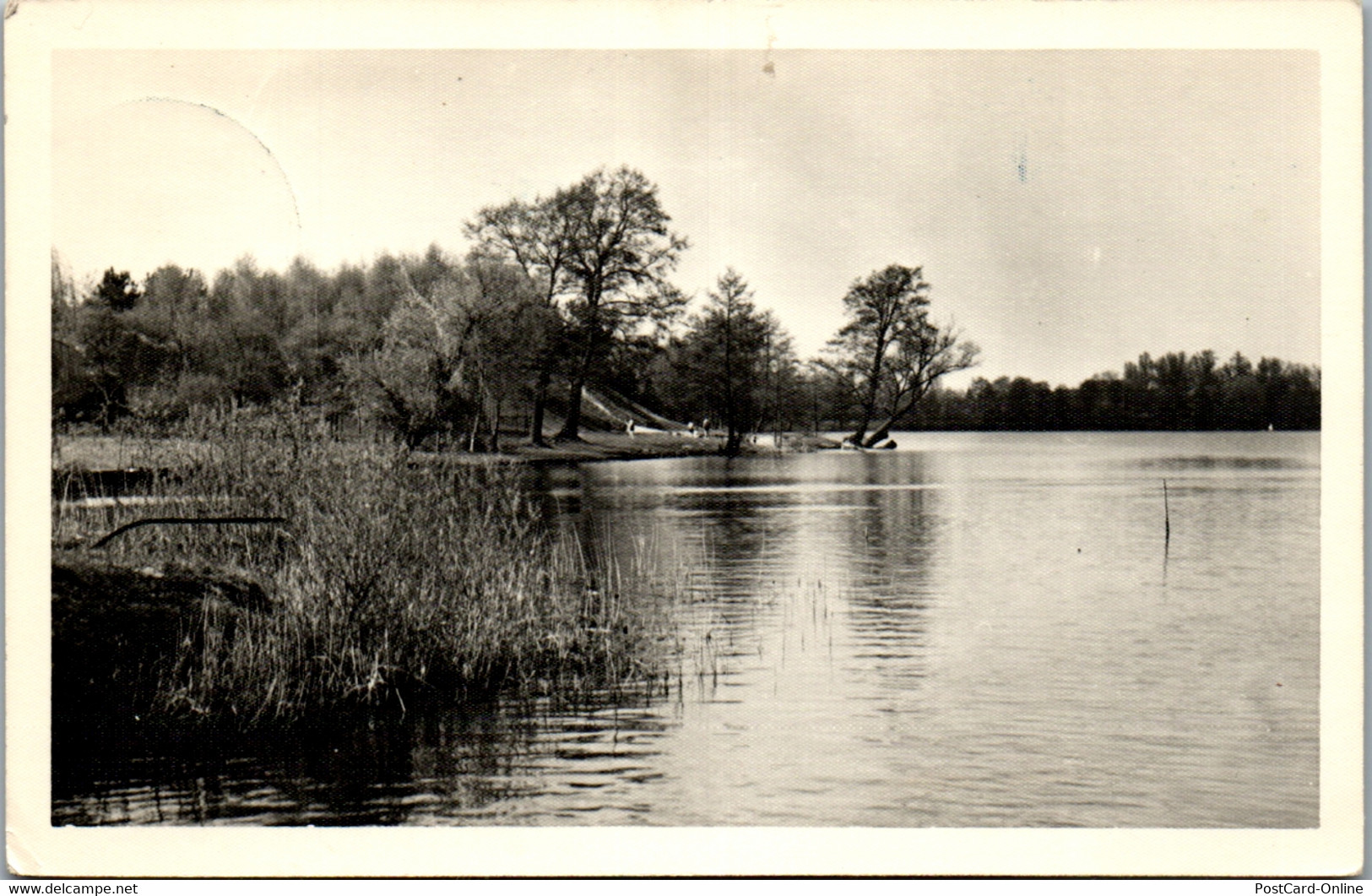 41494 - Deutschland - Zernsdorf , Kr. Königs Wusterhausen , An Der Lanke - Gelaufen - Koenigs-Wusterhausen