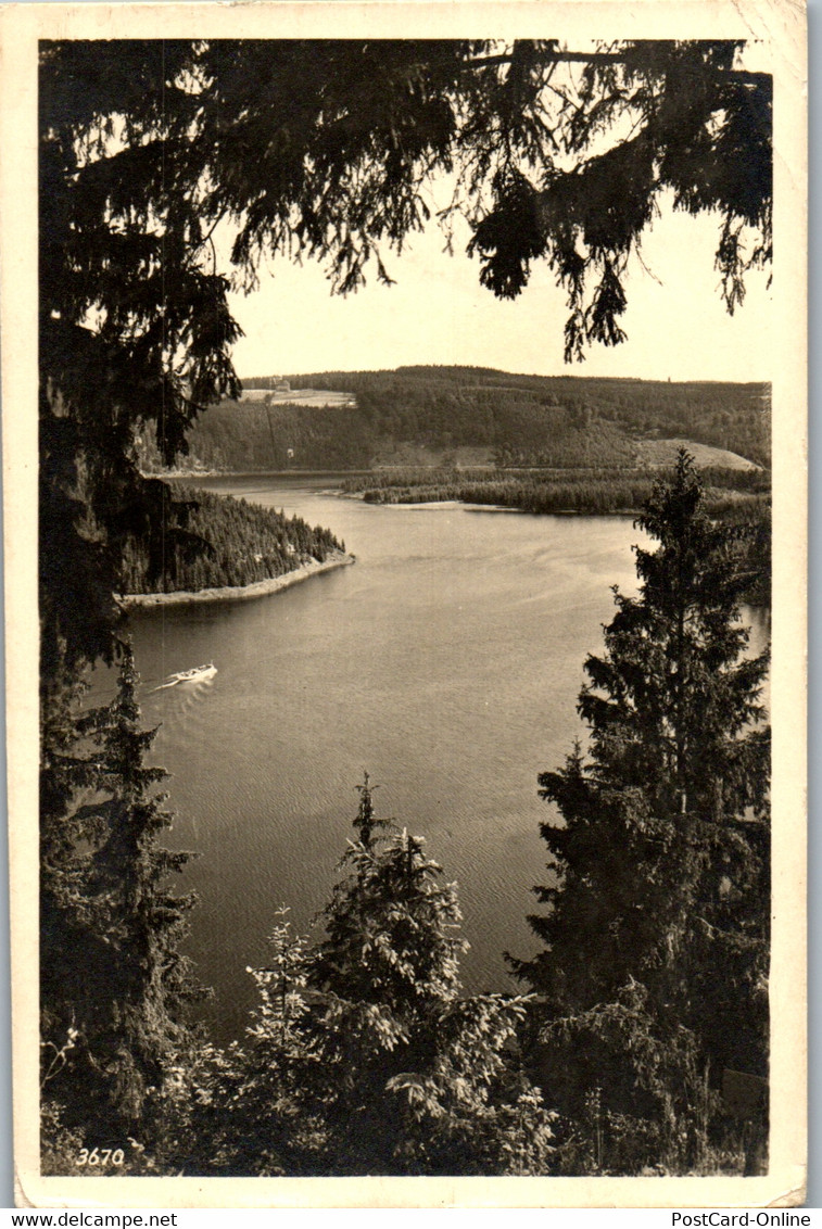 41496 - Deutschland - Am Stausee Der Bleiloch Saaletalsperre , Am Luchsloch - Gelaufen - Ebersdorf